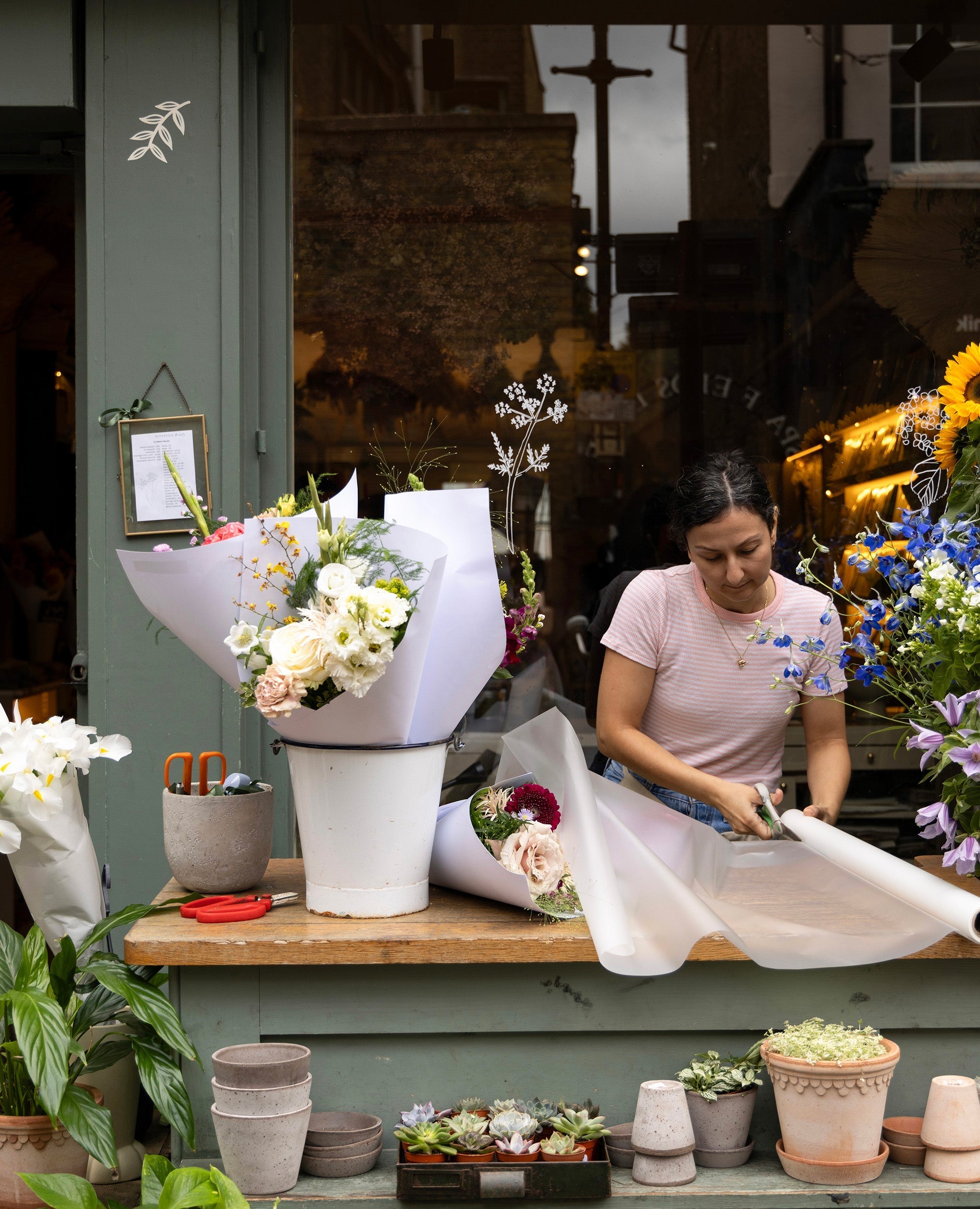 Meet Tugba ... A lover of Pinto, Poppies and Banjos