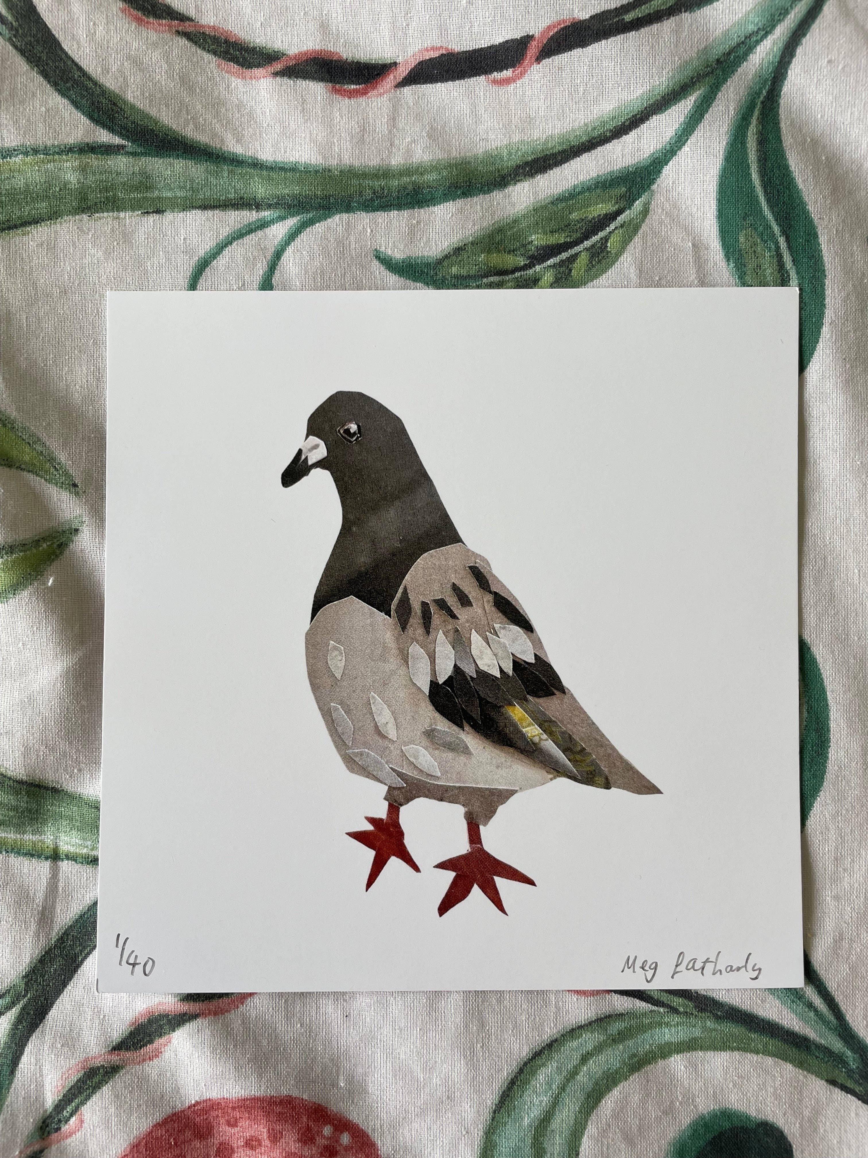 Limited Edition Collage Pigeon Print