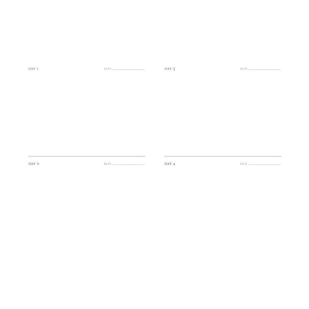 One Sketch a Day: A Visual Journal