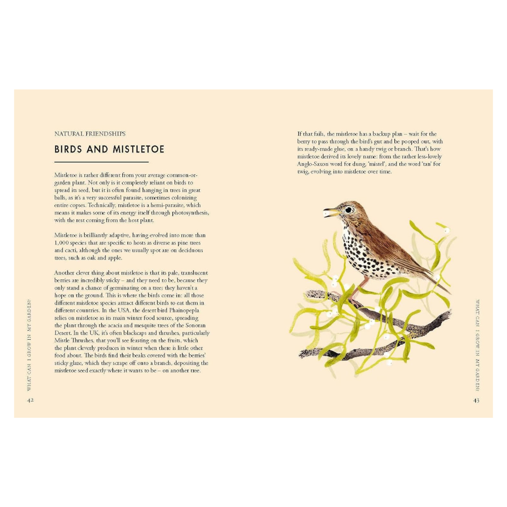 Planting for Wildflowers: A Growers Guide to Welcoming the Wild