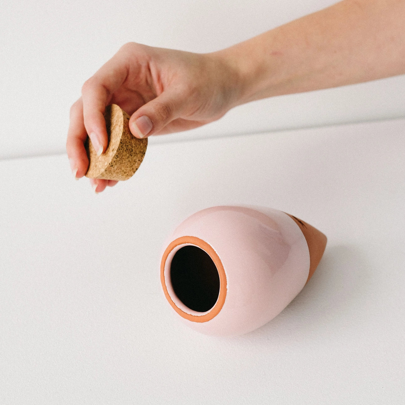 Hydrating Olla Self Watering System | 4 Colours Available