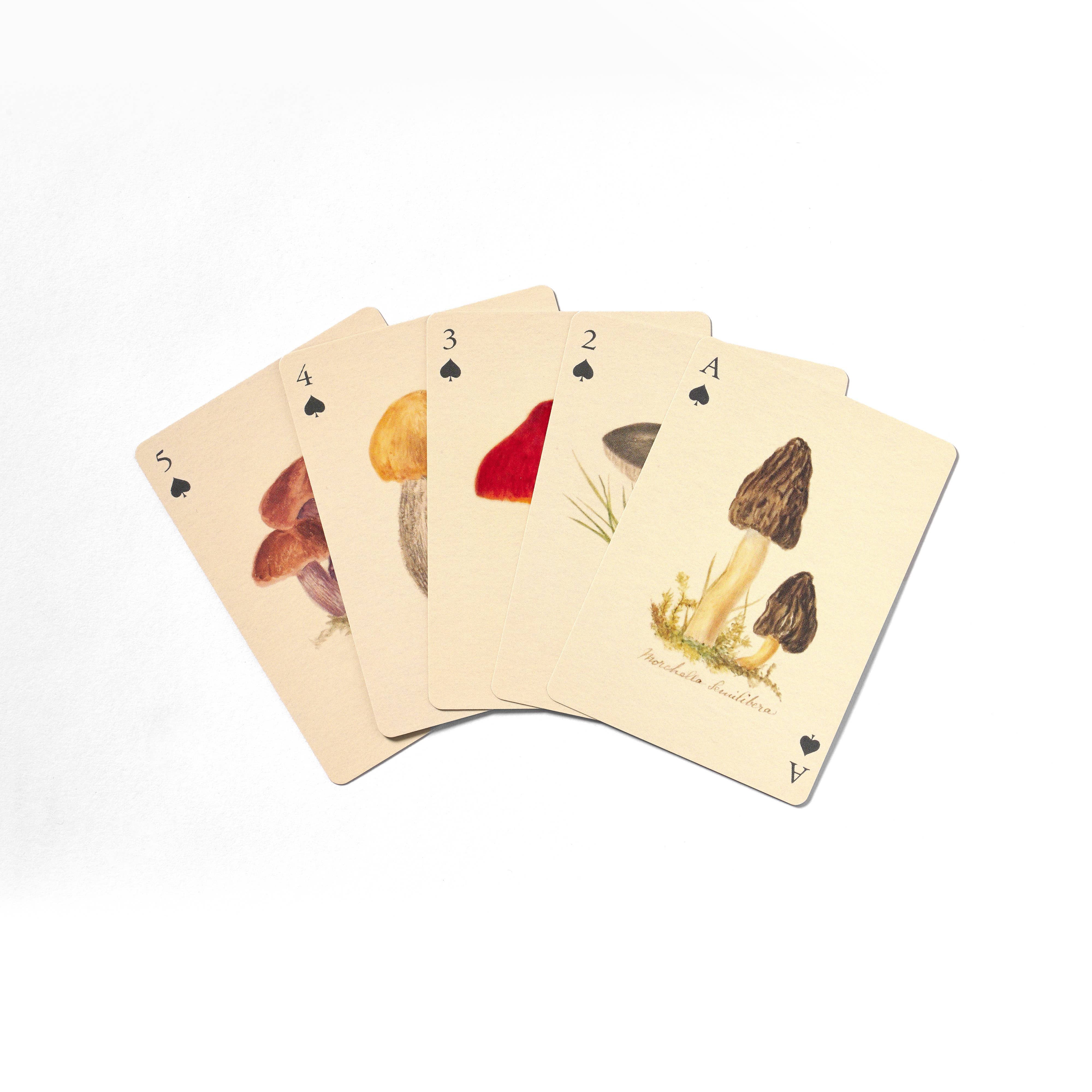 Set of Two Fungi Playing Cards Decks