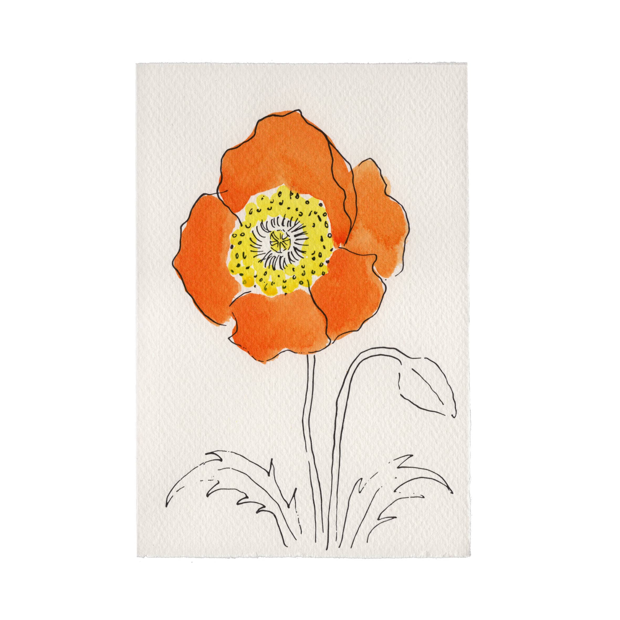 Oriental Poppy Card