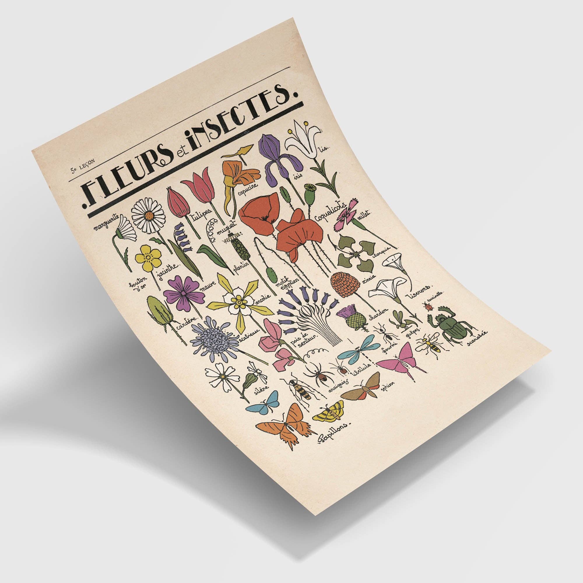 Fleurs et Insectes Fine Art Print | A3