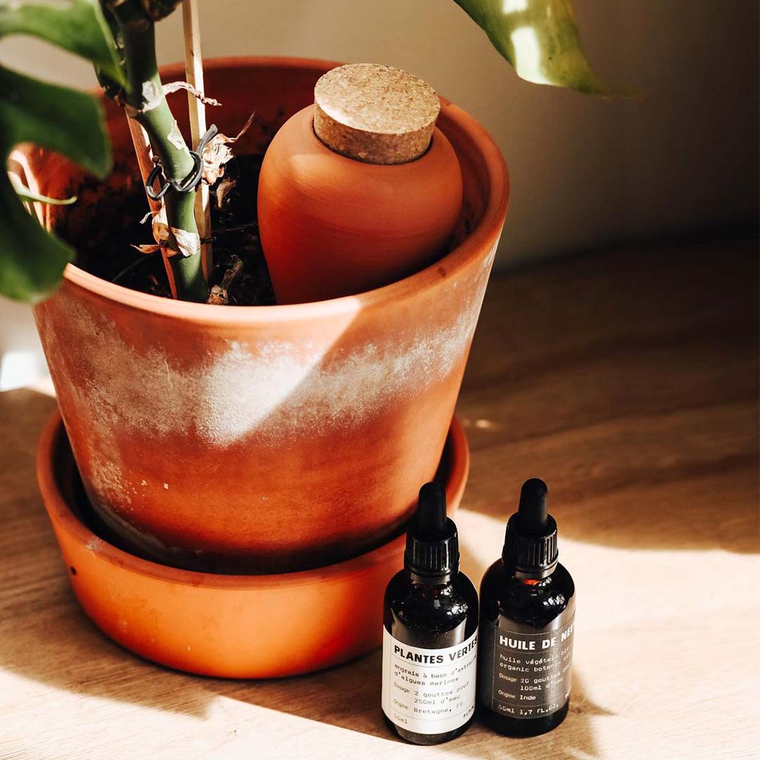 Hydrating Olla Self Watering System | Terracotta
