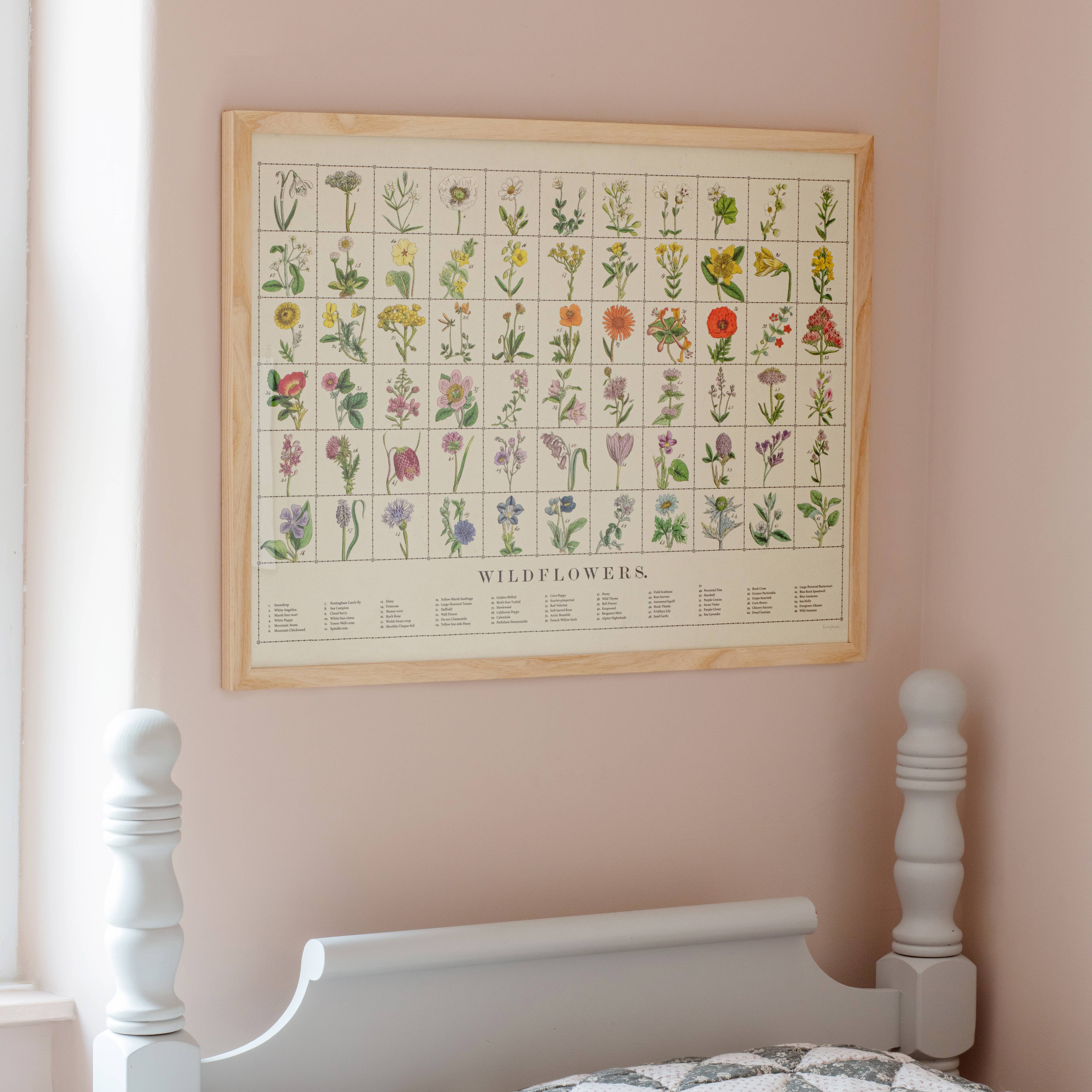 Wildflowers Fine Art Print | A3