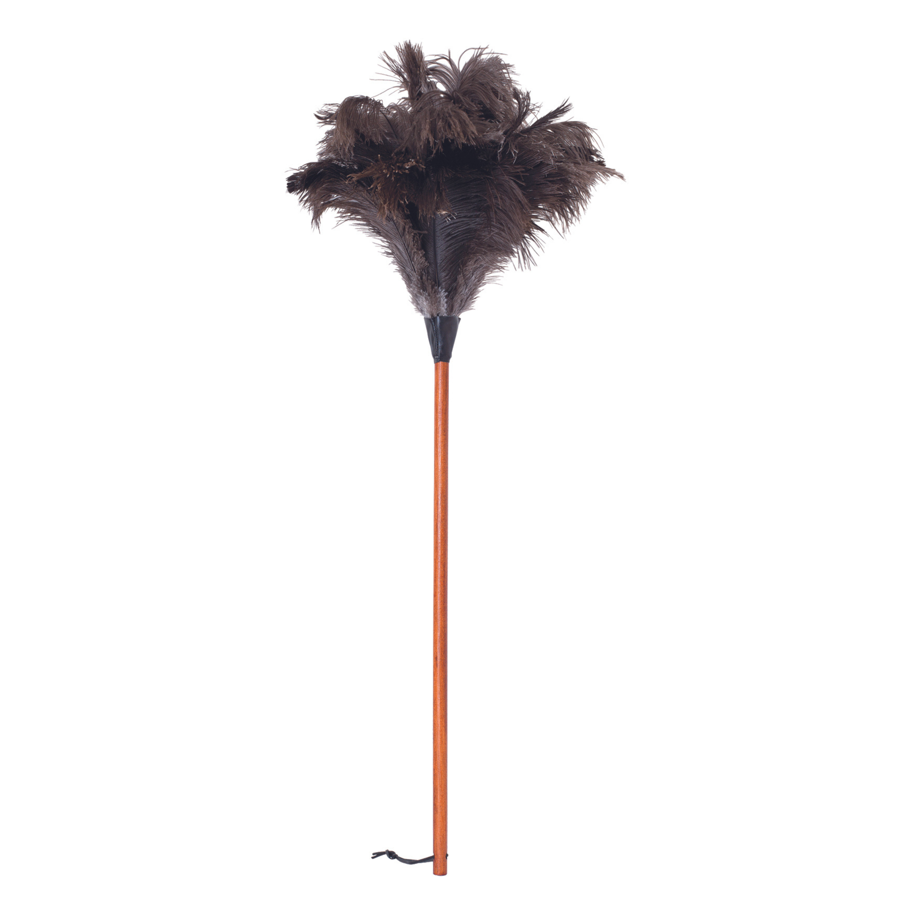 Feather Duster | Long