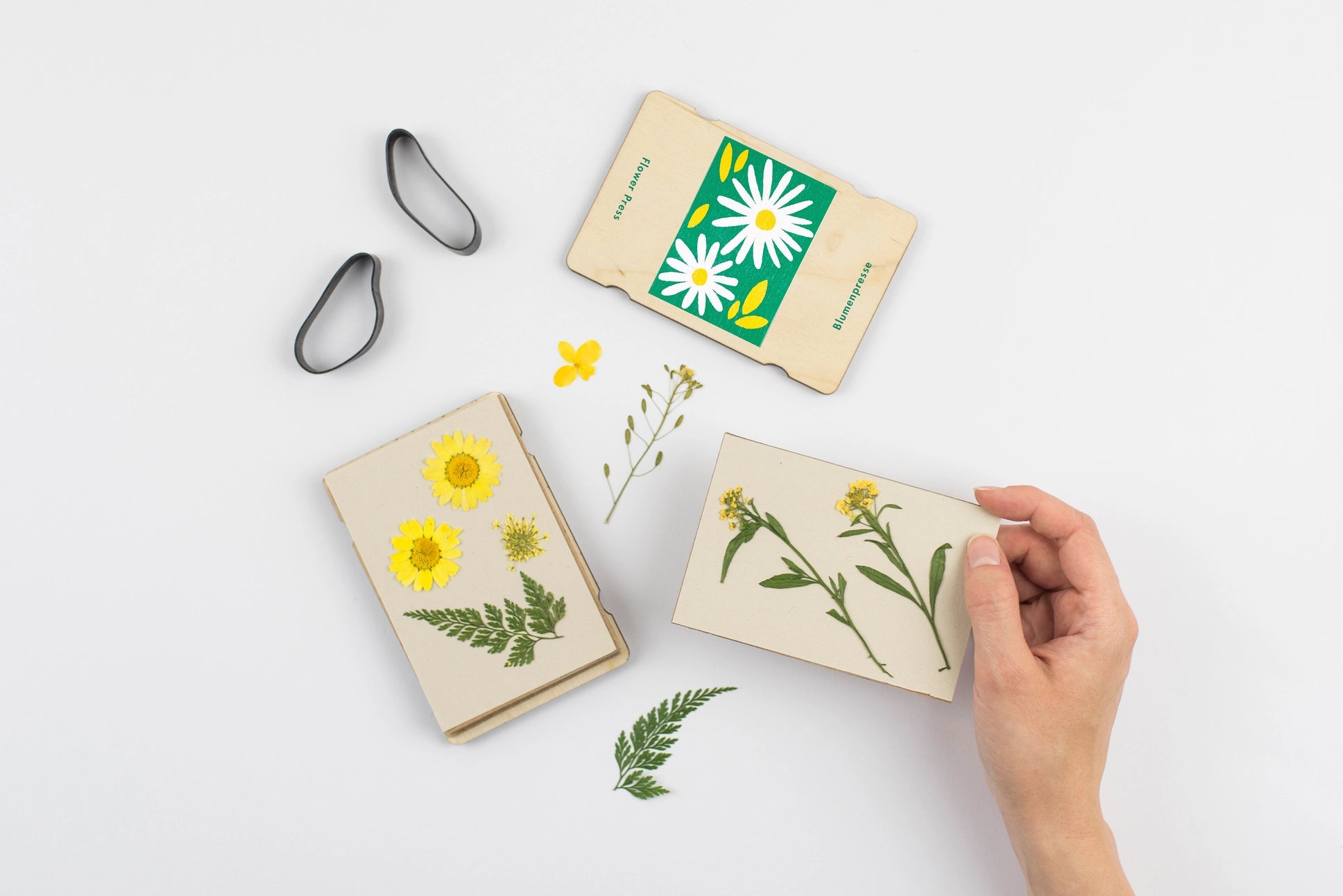 Pocket Flower Press | Daisy