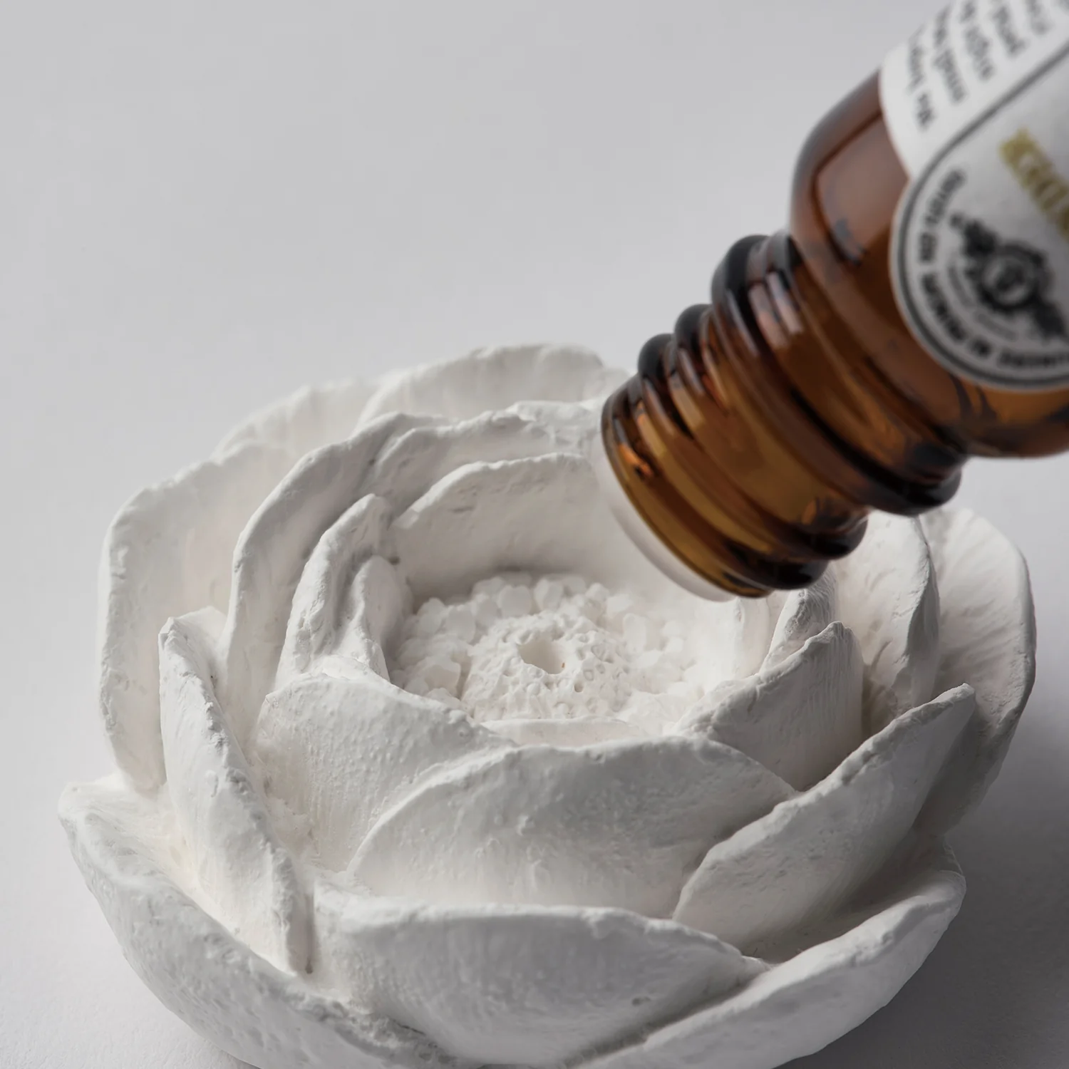 Plaster Incense Holder| Camellia Flower