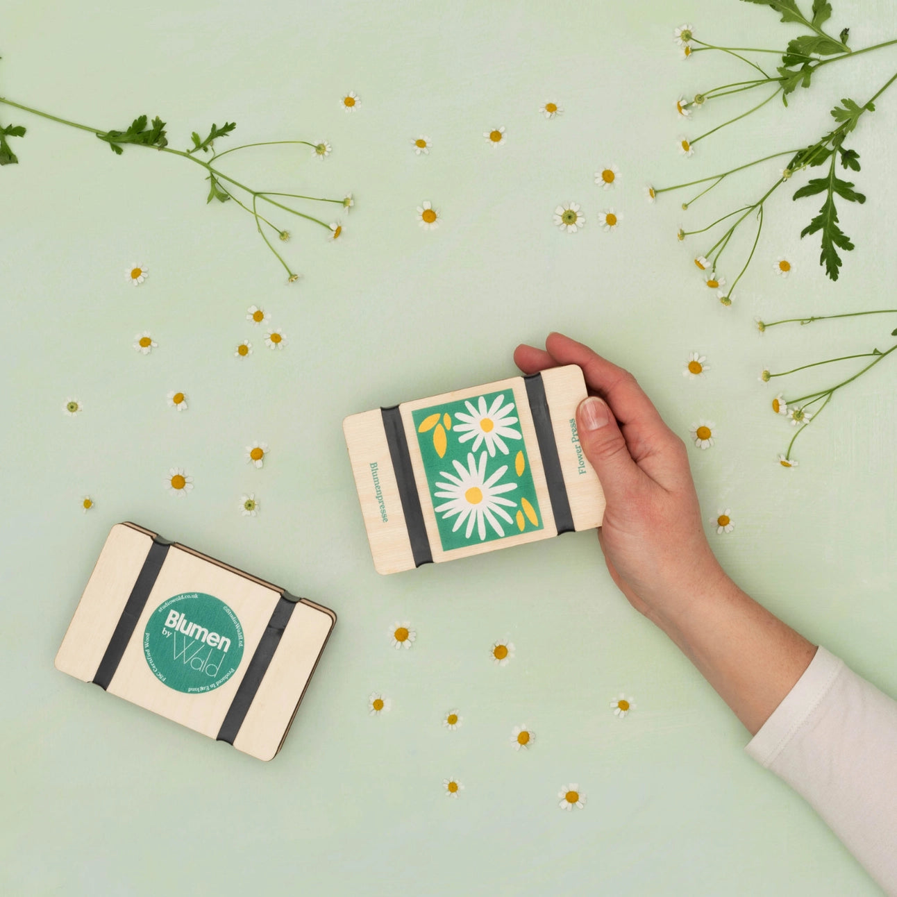 Pocket Flower Press | Daisy