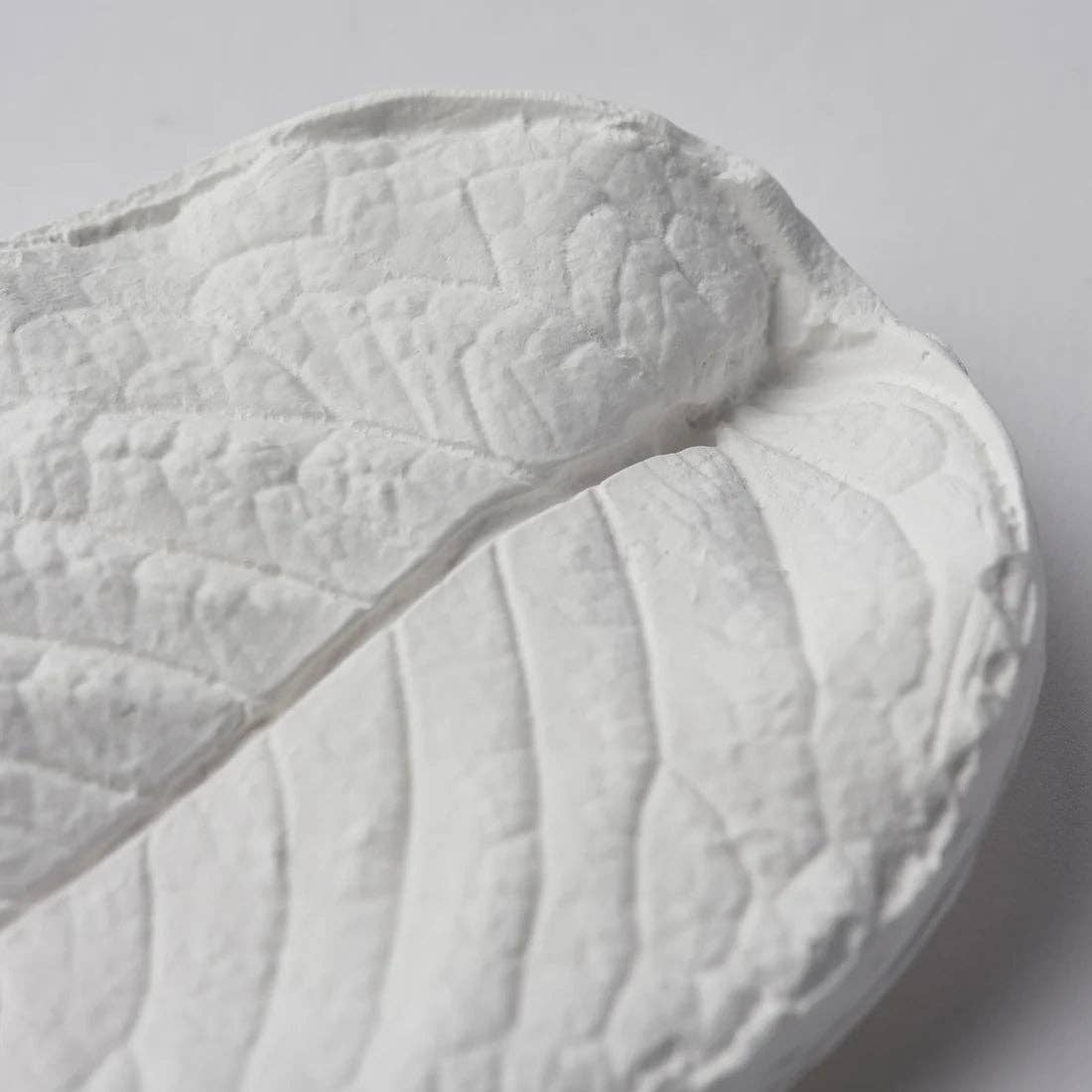 Plaster Incense Holder | Hydrangea Leaf