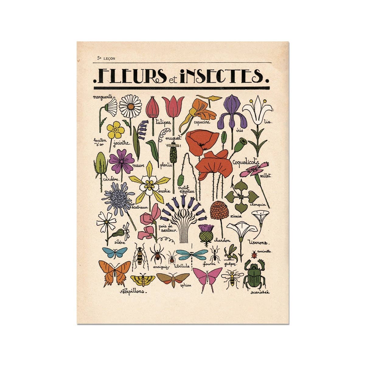 Fleurs et Insectes Fine Art Print | A3