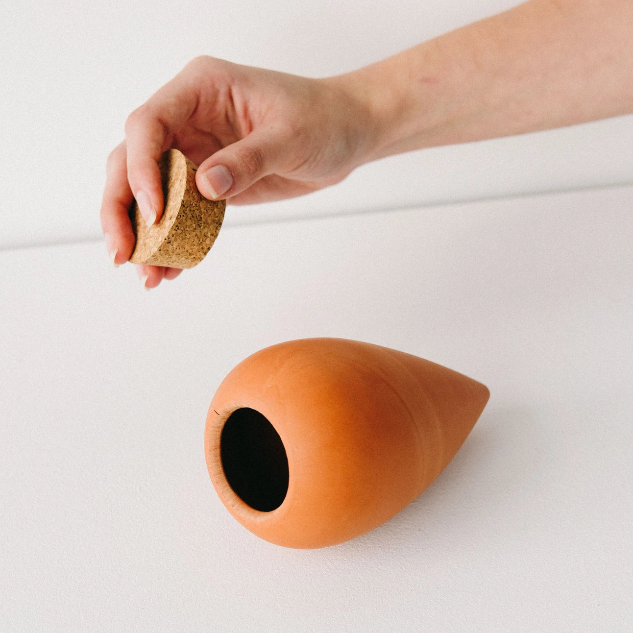 Hydrating Olla Self Watering System | Terracotta