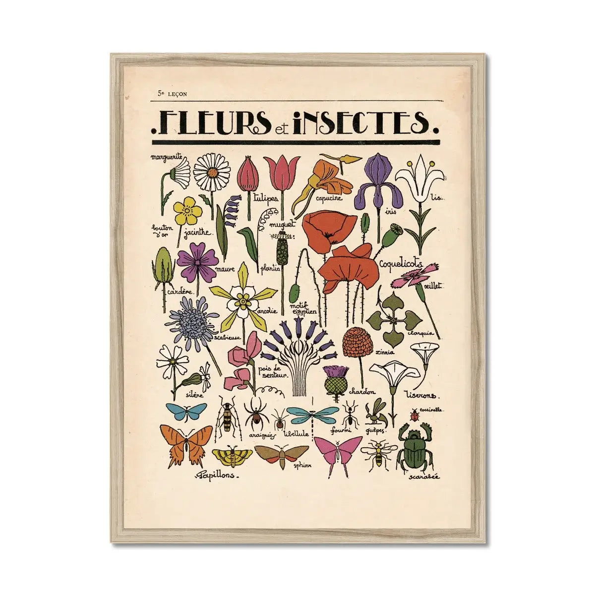 Fleurs et Insectes Fine Art Print | A3
