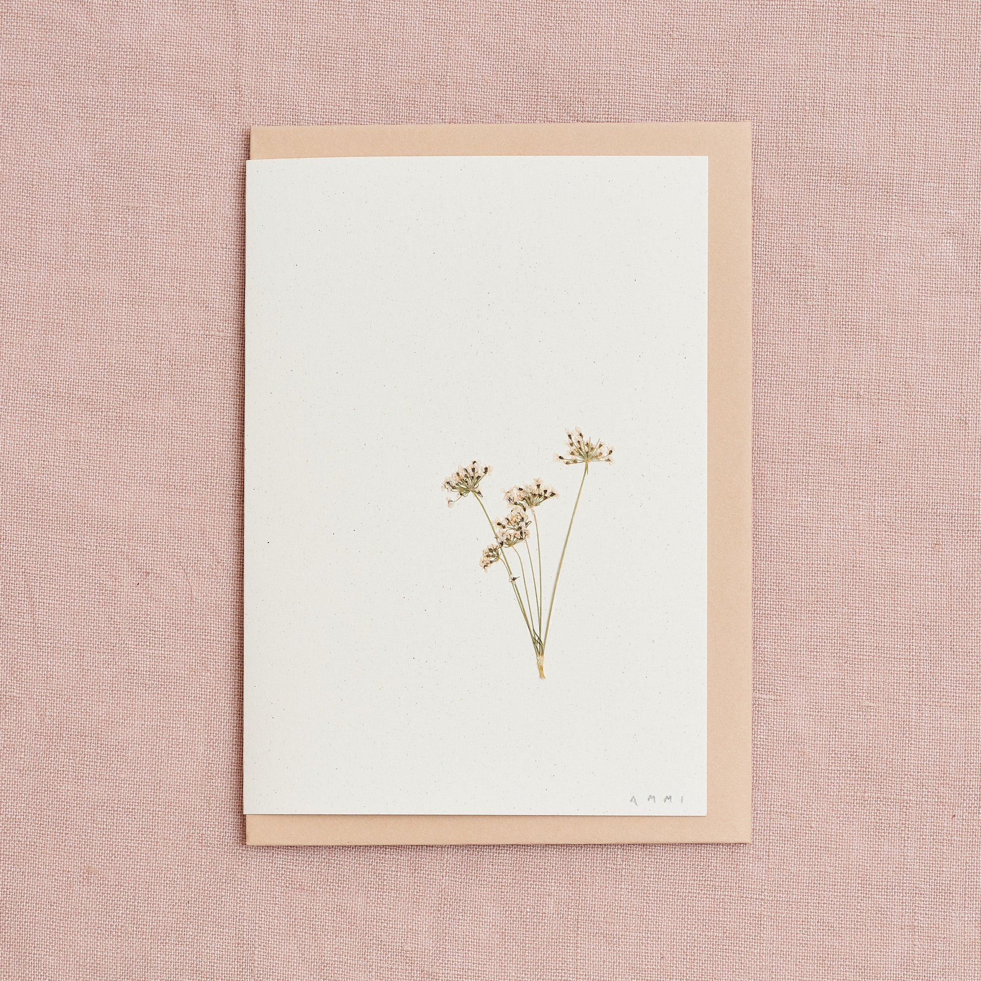 Real Pressed Flower Greetings Card : Ammi