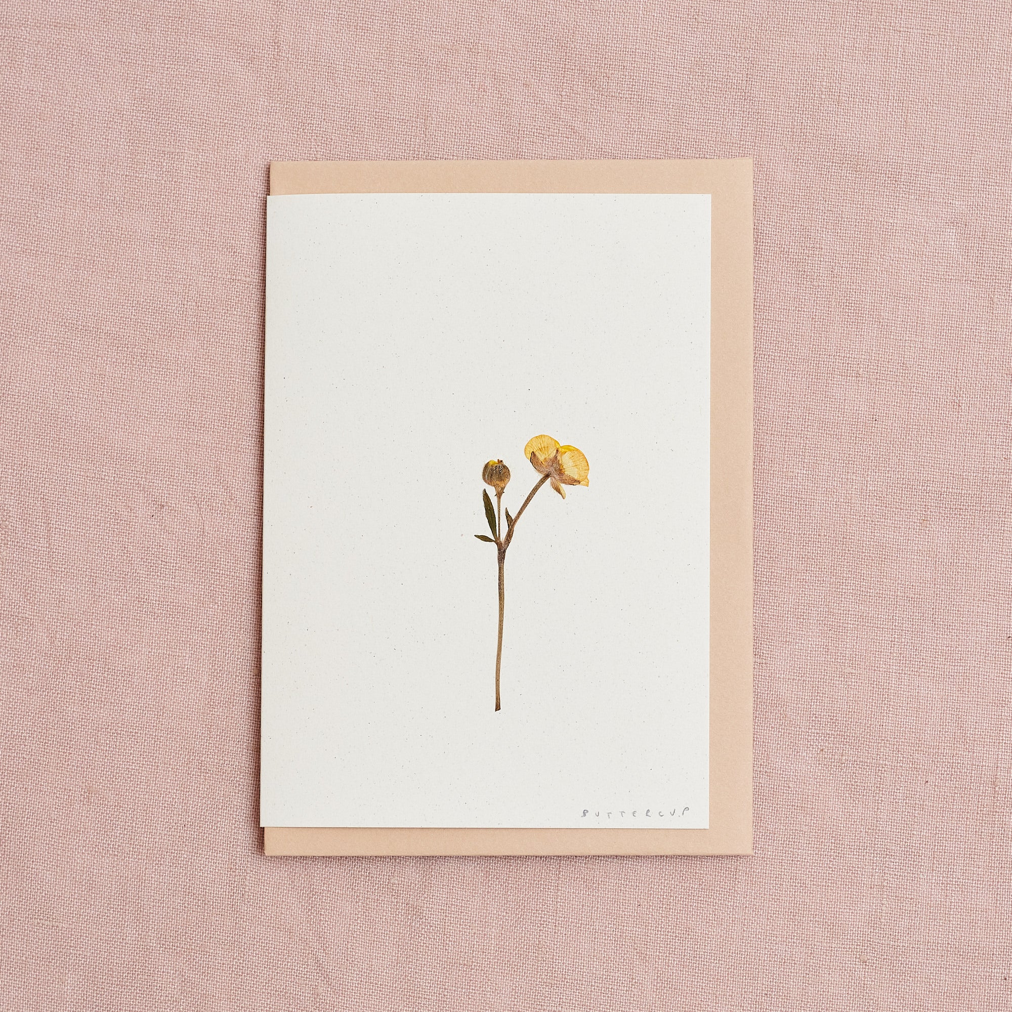 Real Pressed Flower Greetings Card : Stemmed Buttercup
