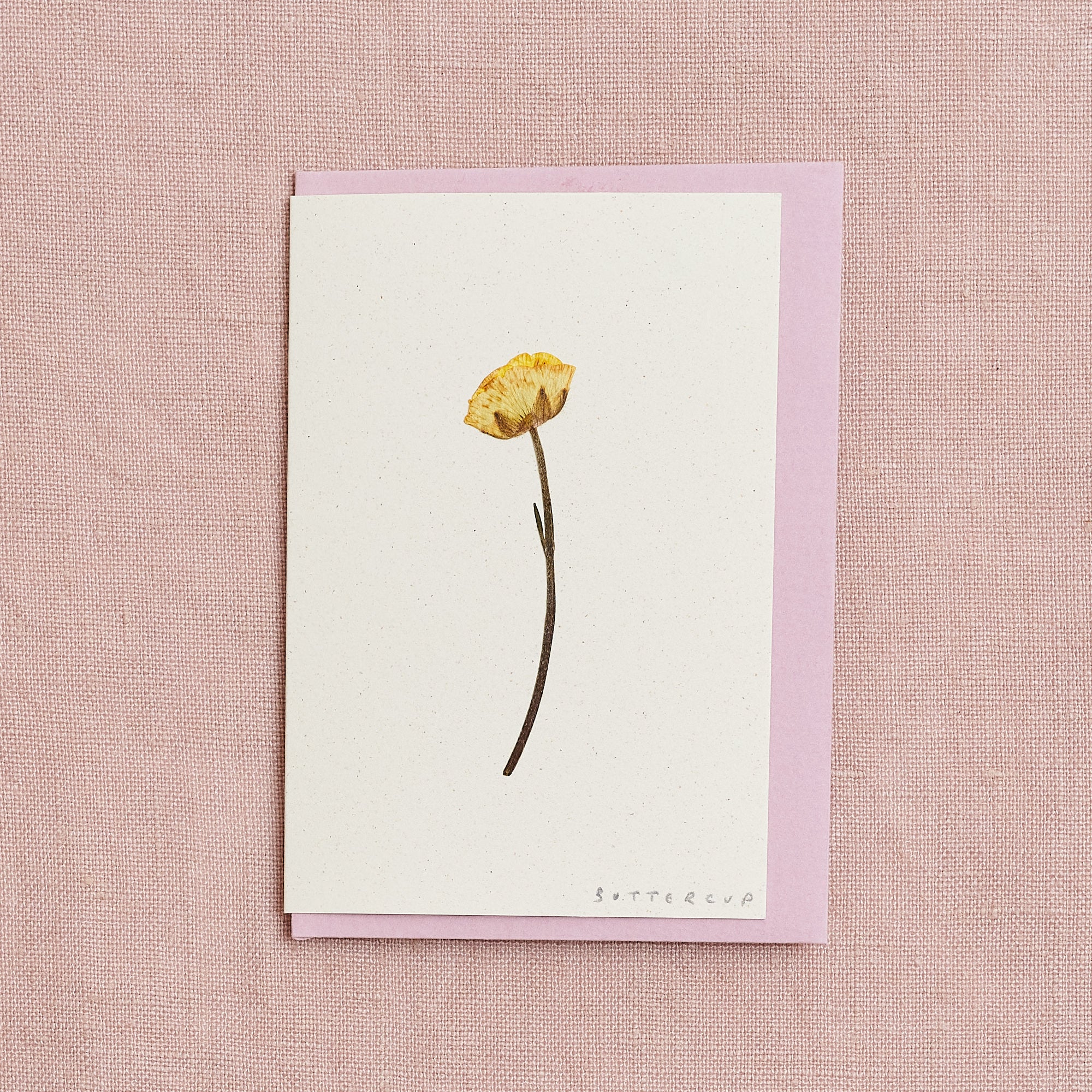 Real Pressed Flower Mini Greetings Card : Stemmed Buttercup