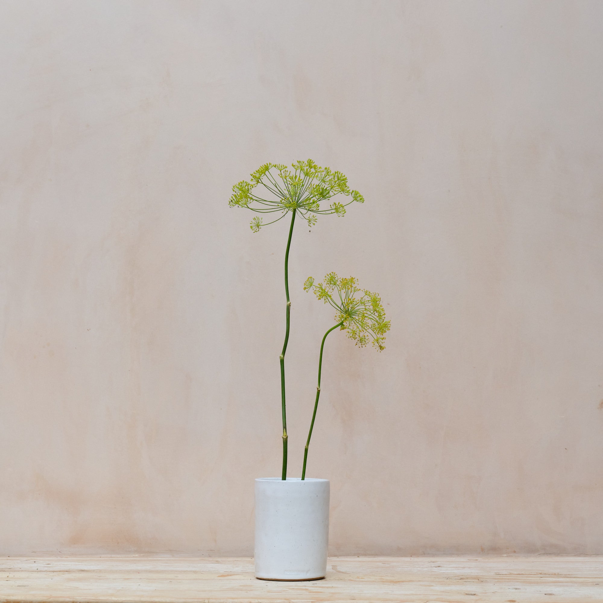 Stoneware Cylinder Vase | Toasted White | 2 Sizes Available