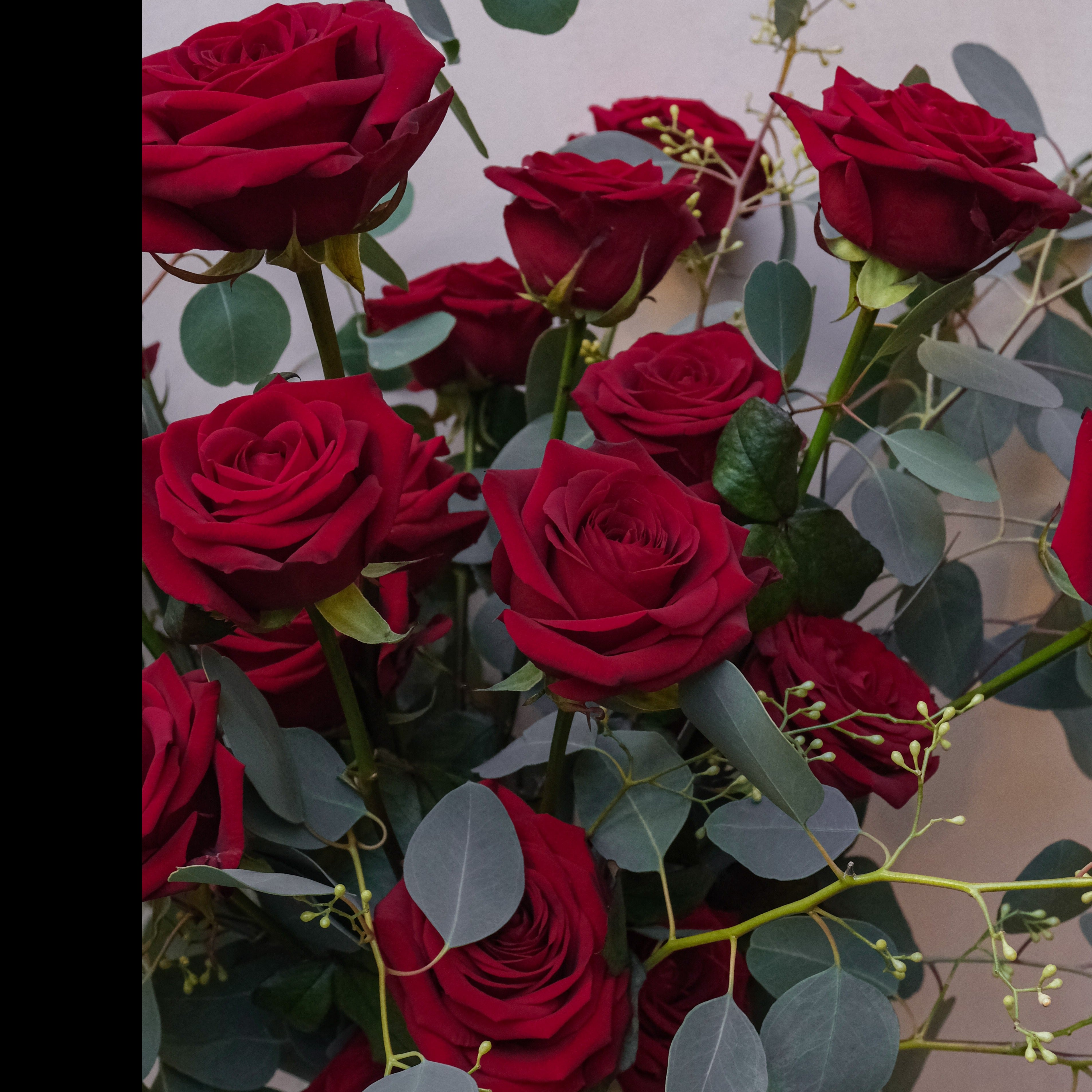 Luxe Red Roses Valentine's Bouquet: Valentines Pre Order