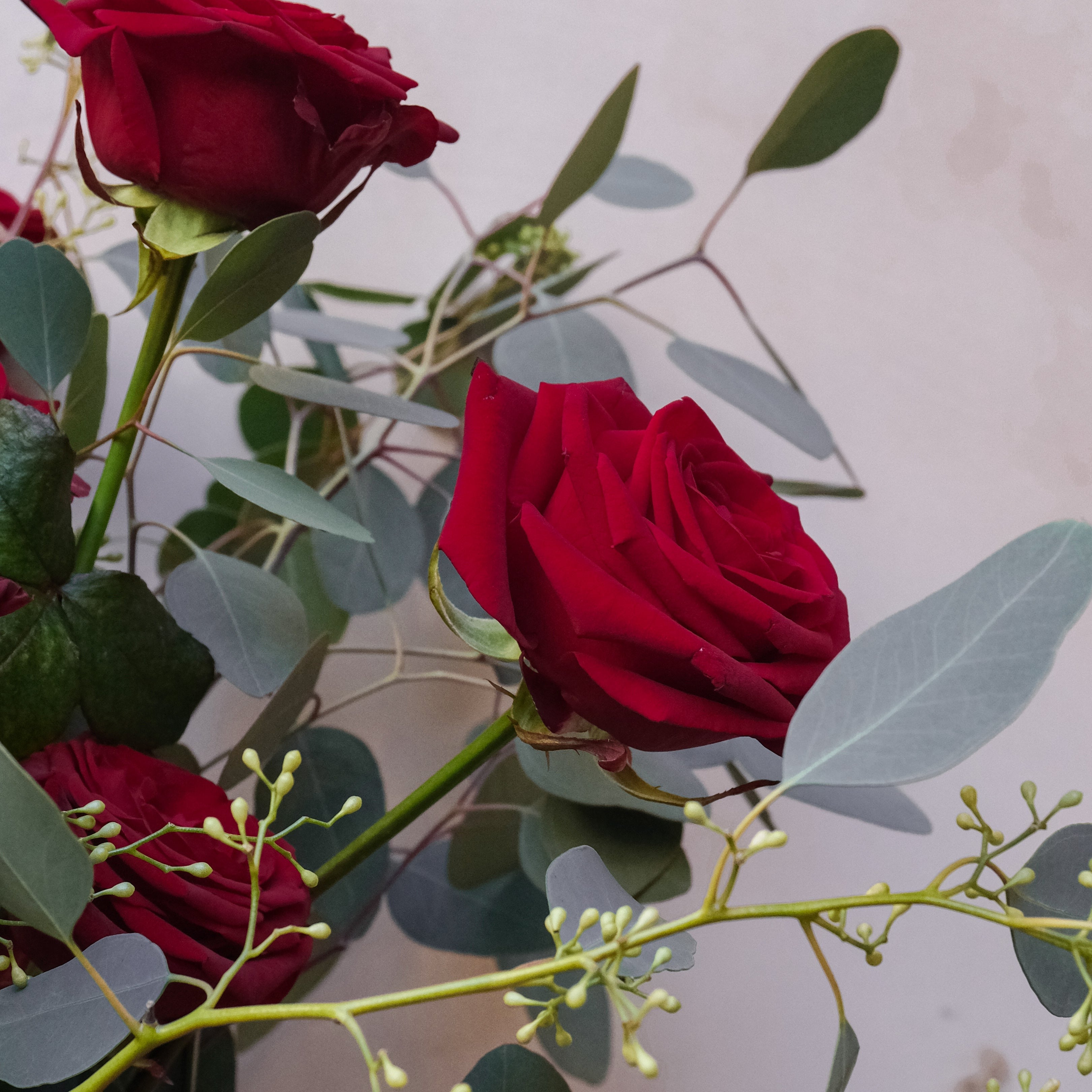 Luxe Red Roses Valentine's Bouquet: Valentines Pre Order