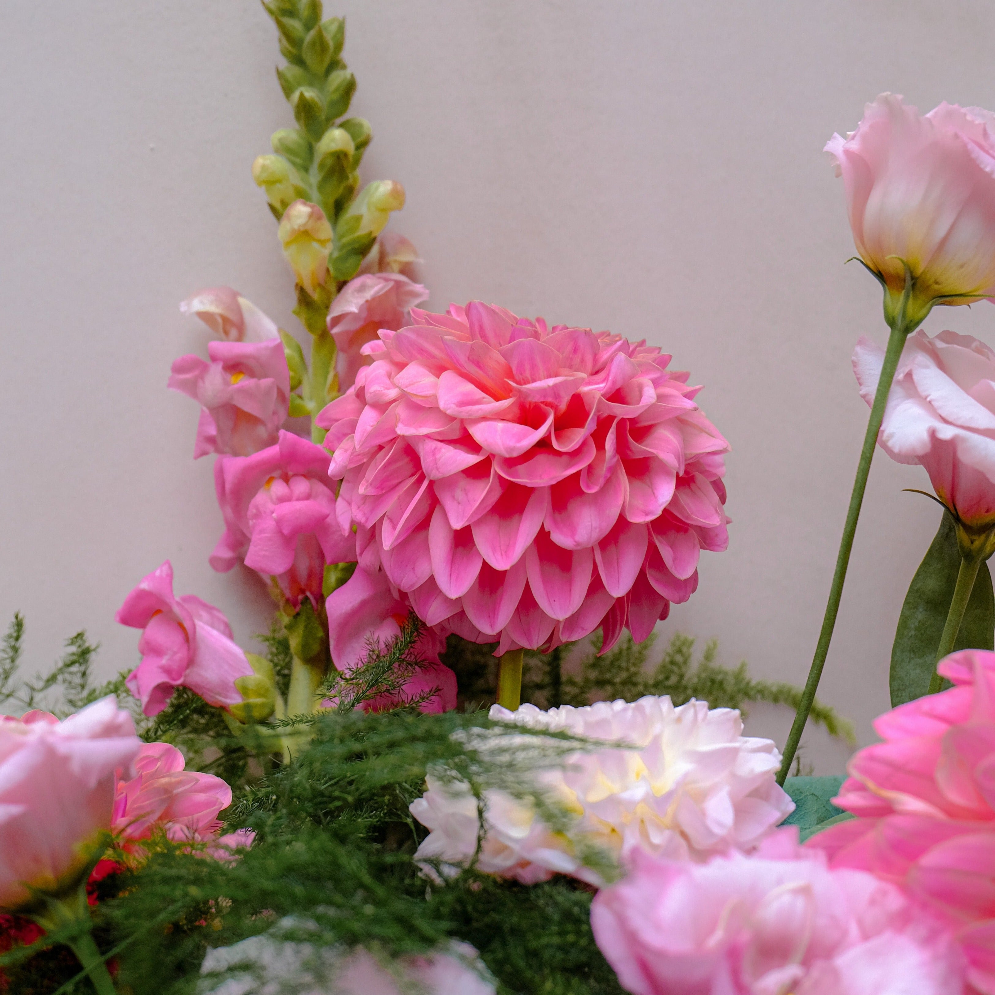 pink dahlias bouquet