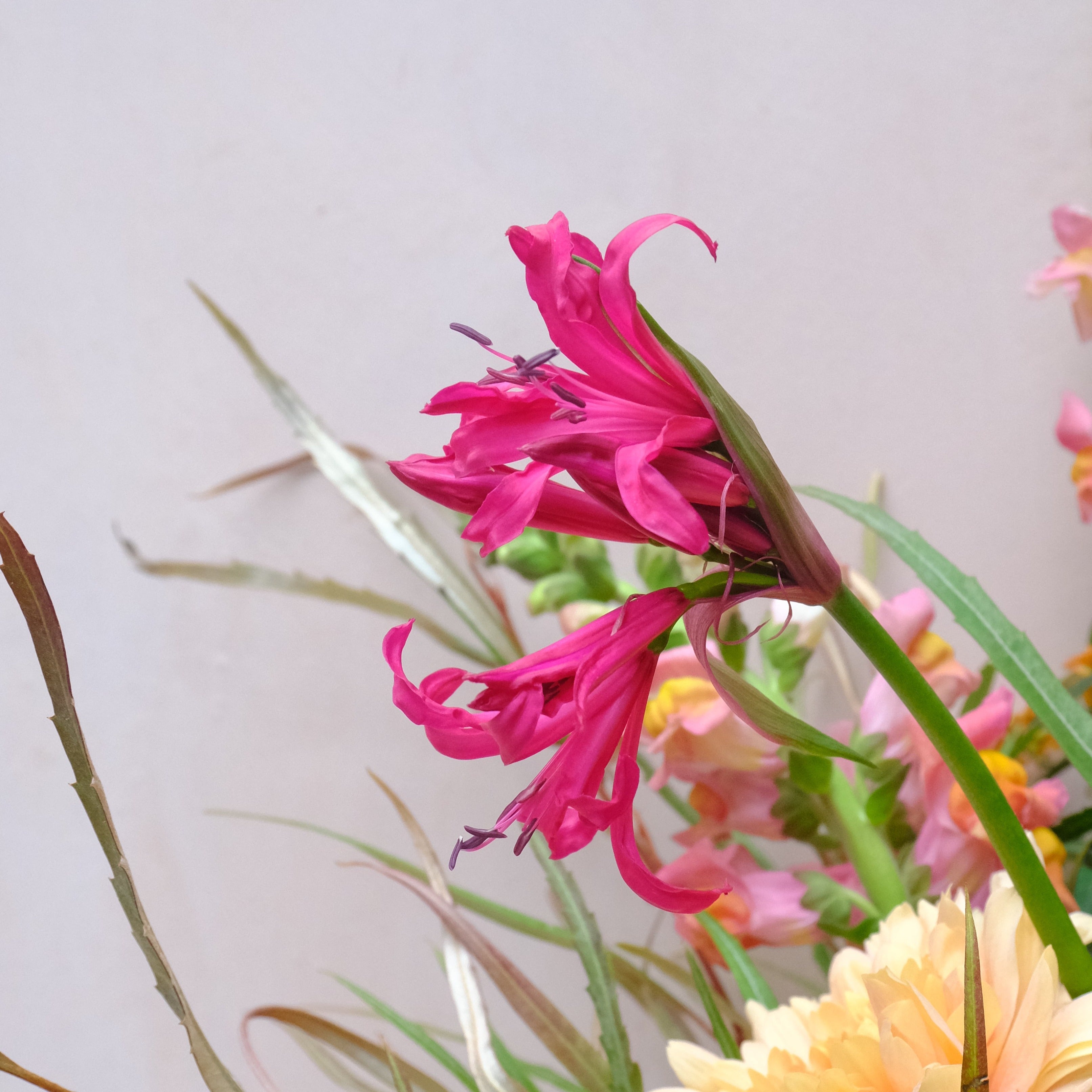 Autumn flowers bouquet with chrysanths, available to order online for London and UK nationwide delivery