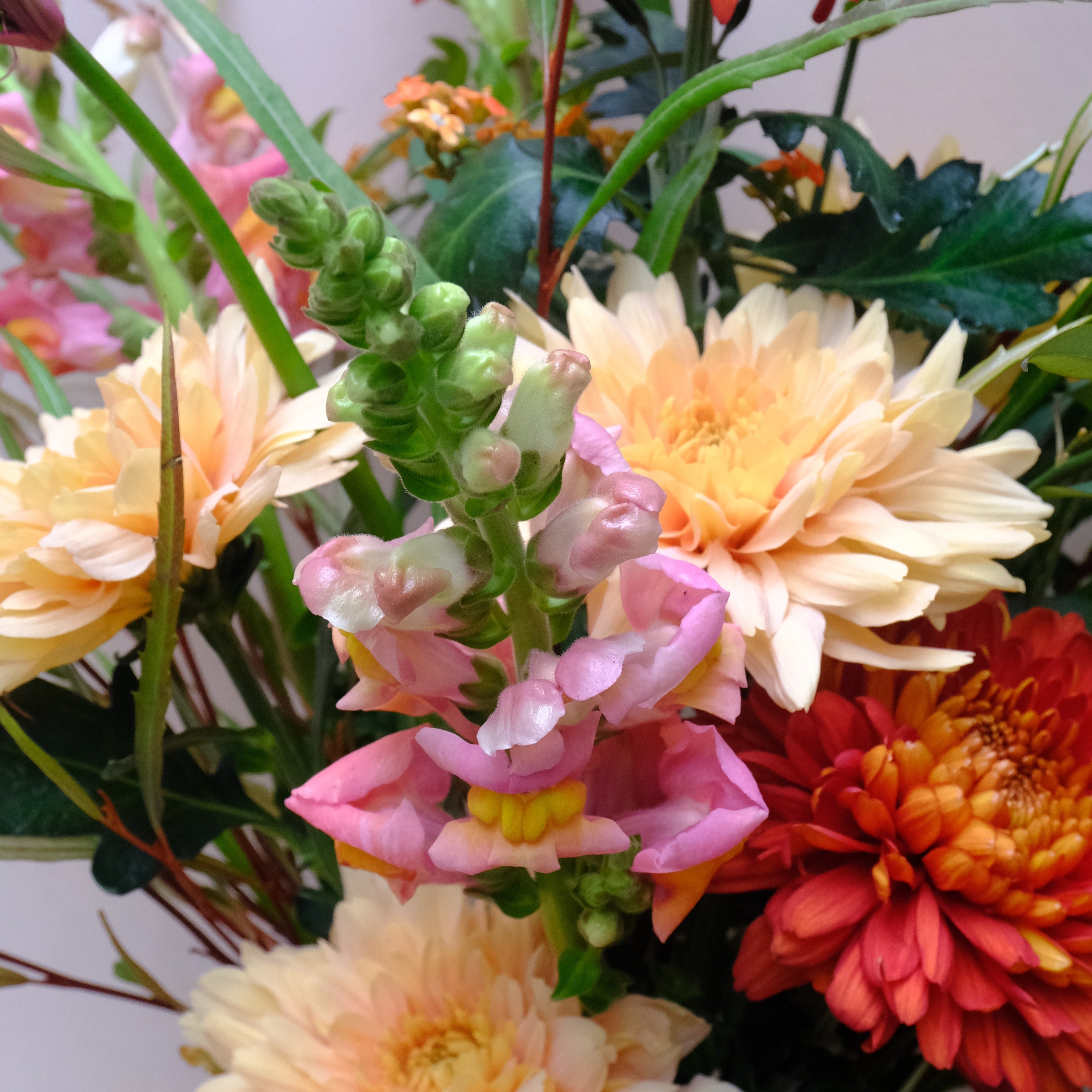 Autumn flowers bouquet with chrysanths, available to order online for London and UK nationwide delivery