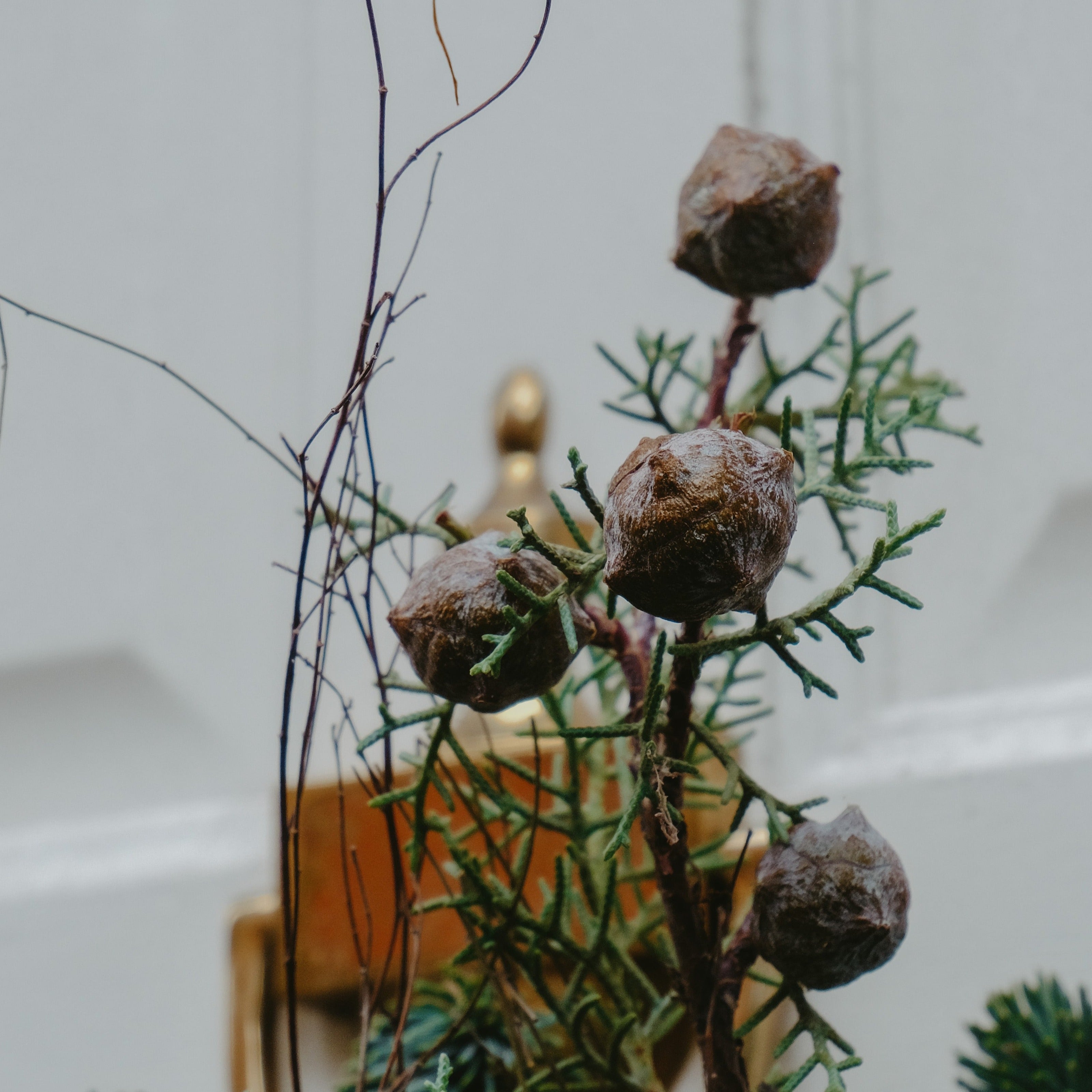festive Christmas wreath with pine cones and dried apple slices