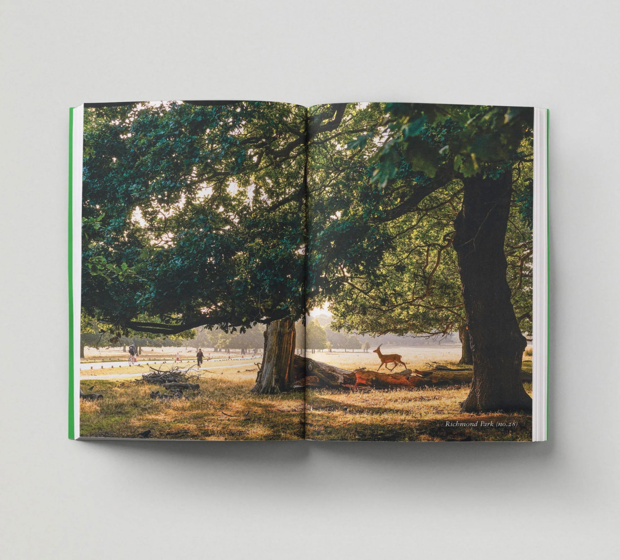 London Green Spaces Book