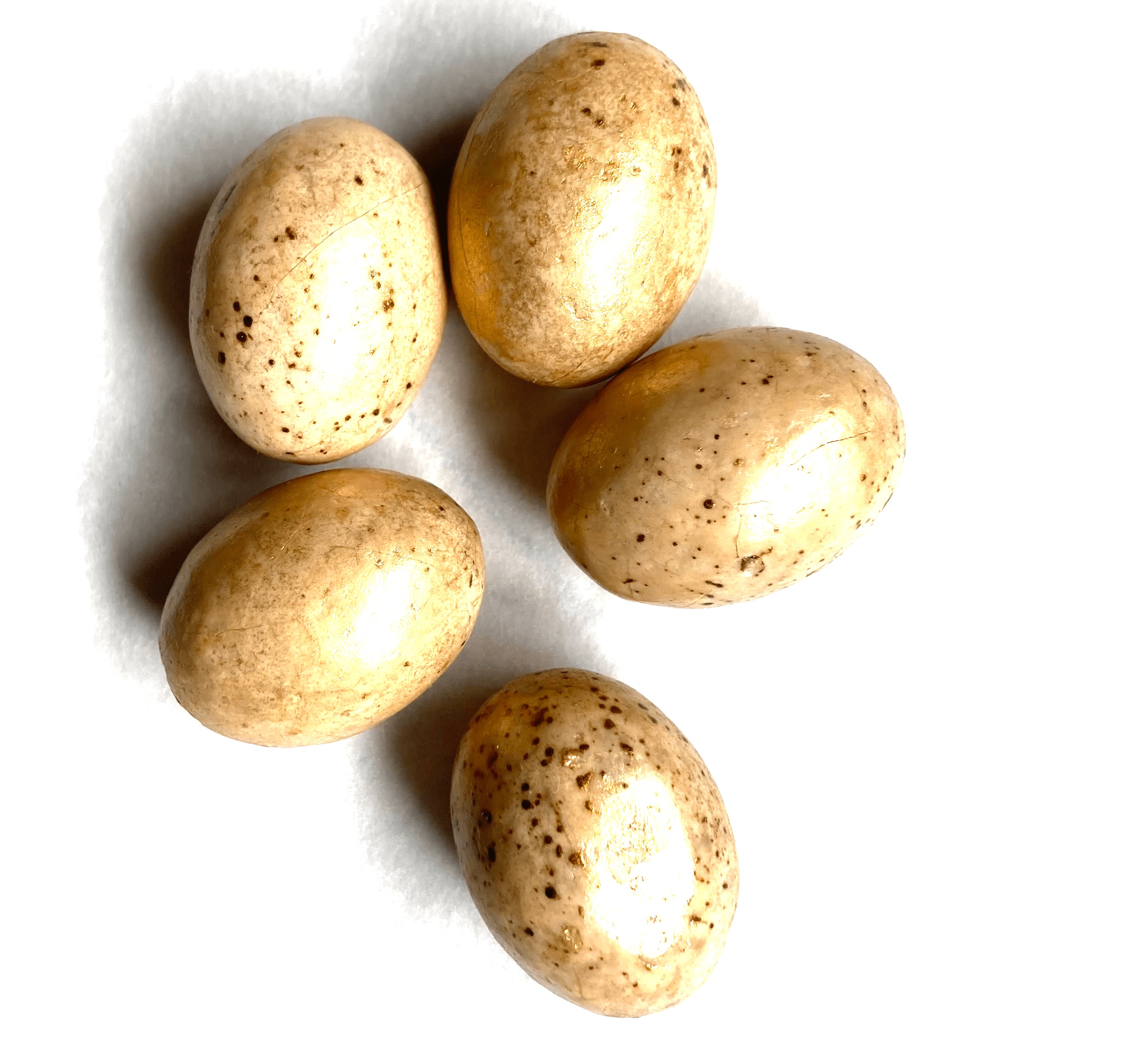 12 Mixed Chocolate Hazelnut Praline Goldfinch Eggs