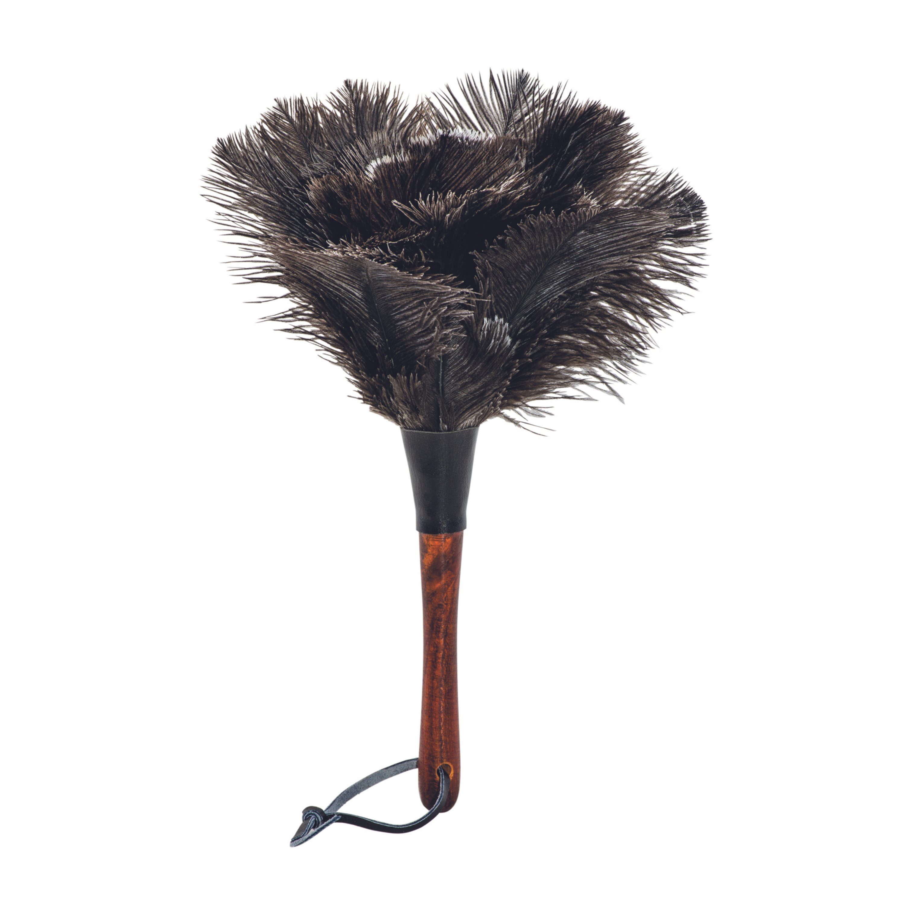 Feather Duster | Short