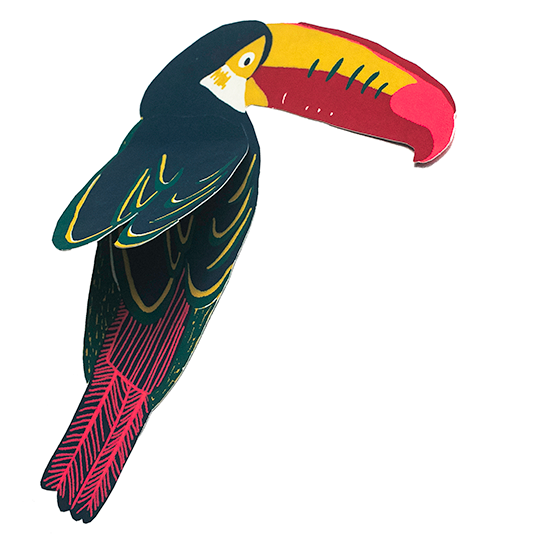 Screen Printed Toucan Greeting Card
