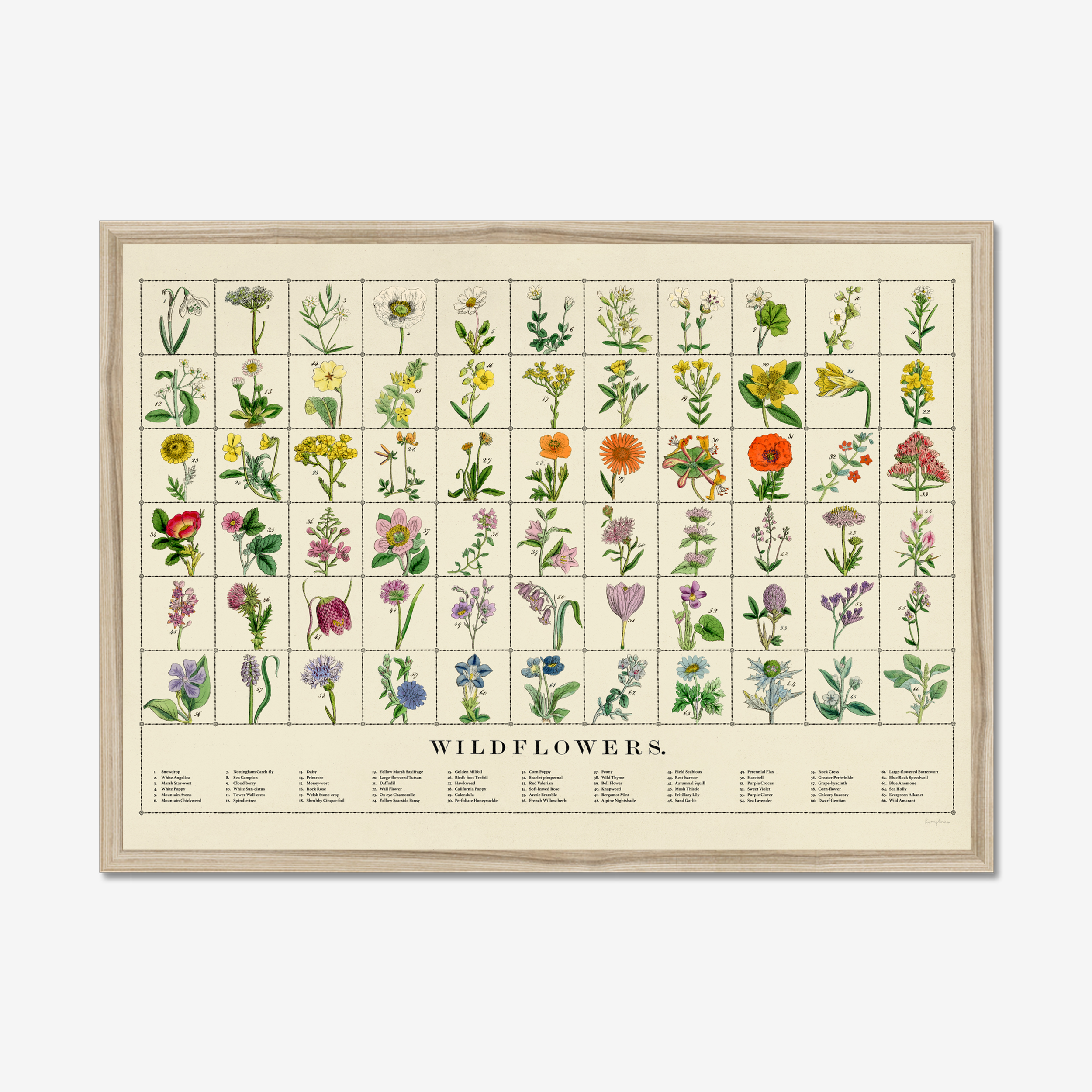 Wildflowers Fine Art Print | A3