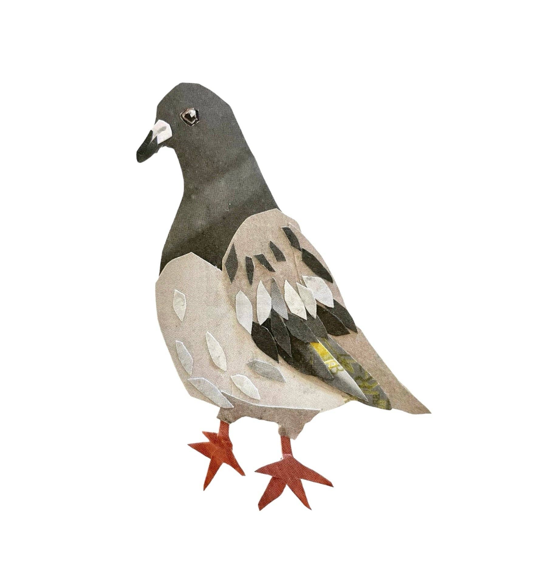 Limited Edition Collage Pigeon Print