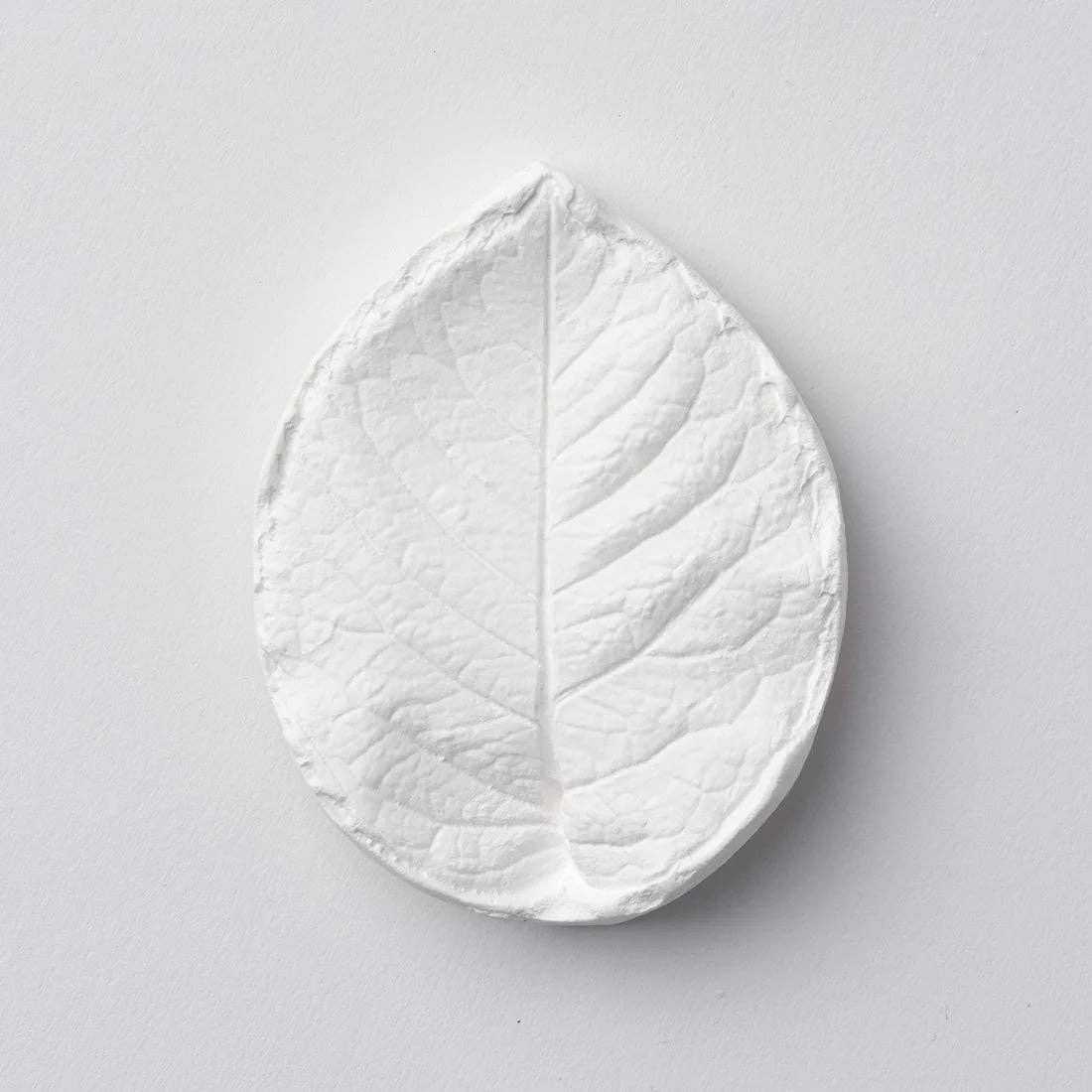 Plaster Incense Holder | Hydrangea Leaf