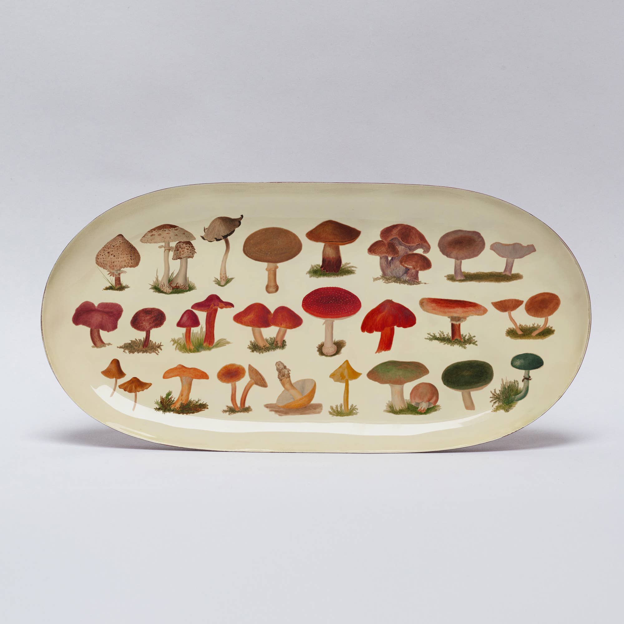 Oval Enamel Tray | Fungi