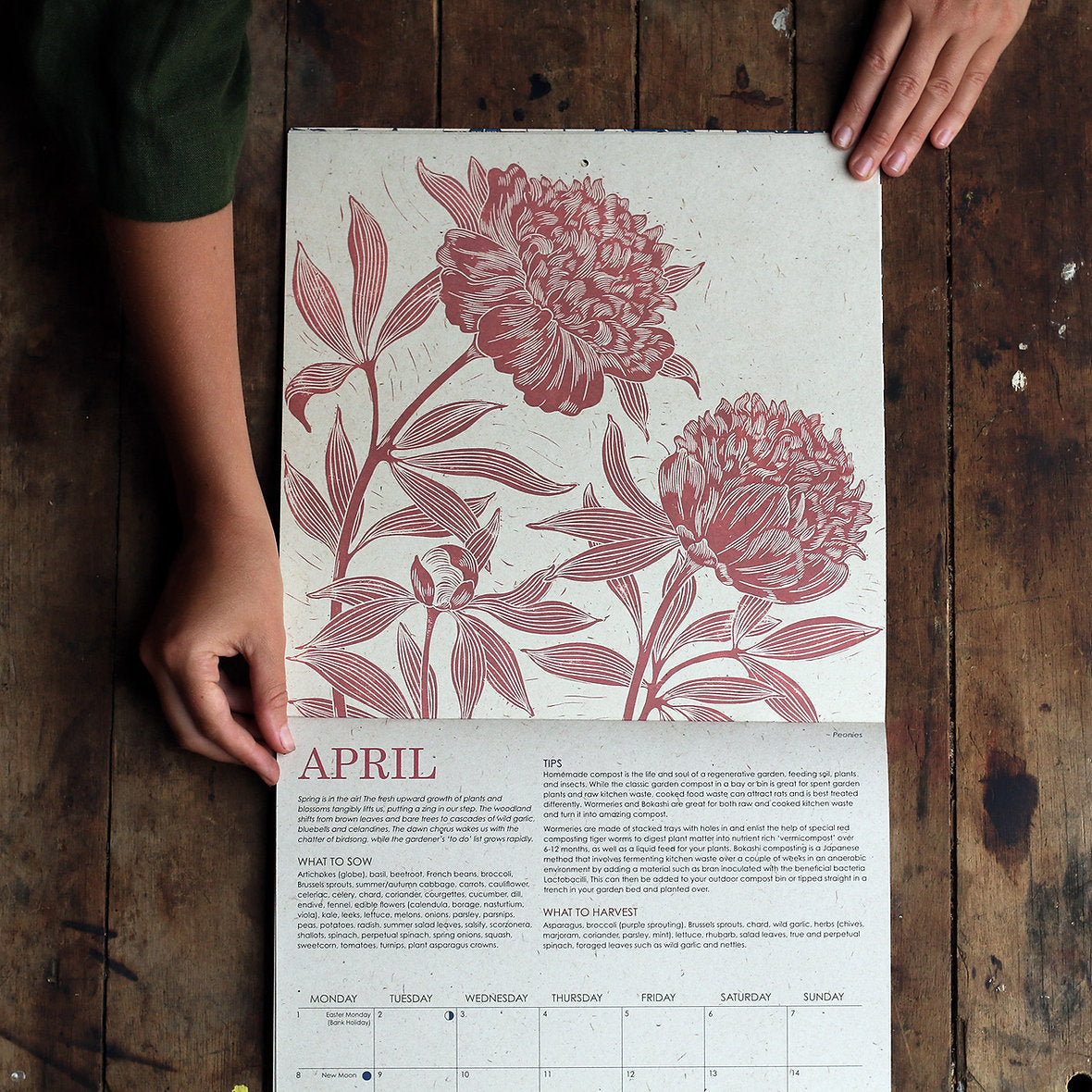 Growing Through The Seasons - Fruit & Vegetable 2024 Calender by Isla Middleton