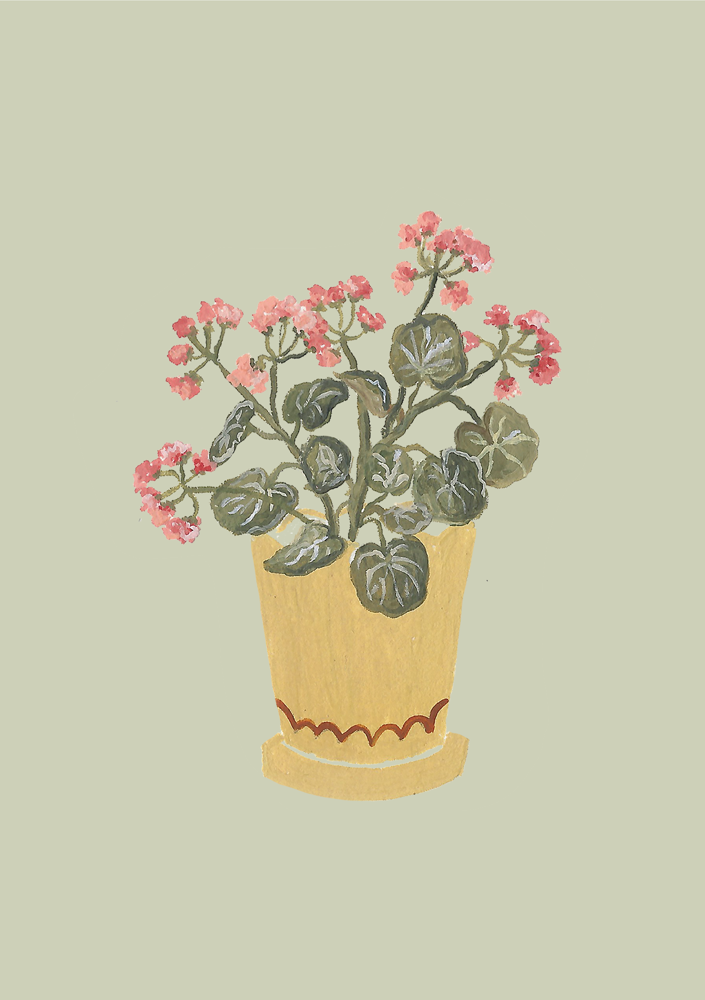 Geraniums | A5 Print
