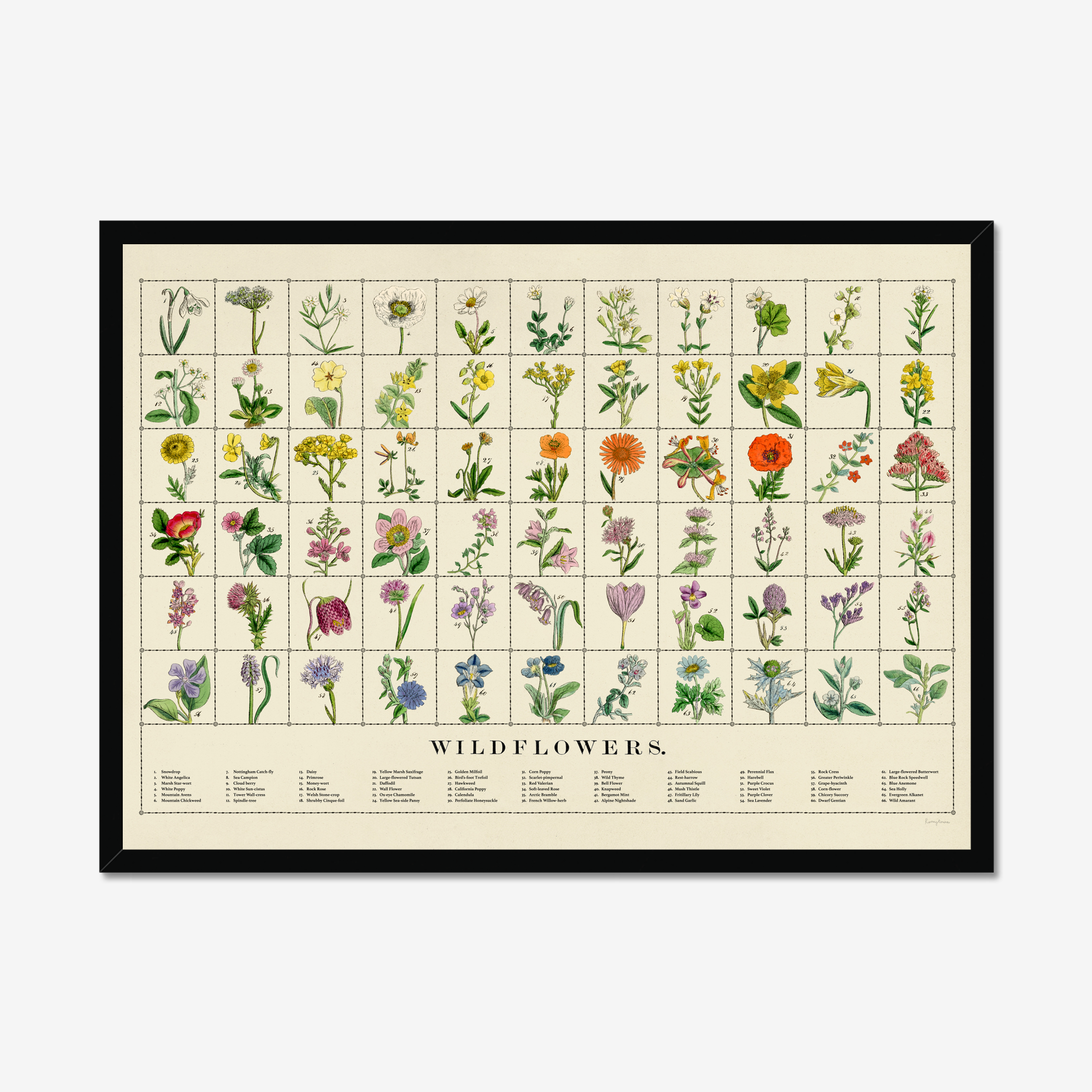 Wildflowers Fine Art Print | A3