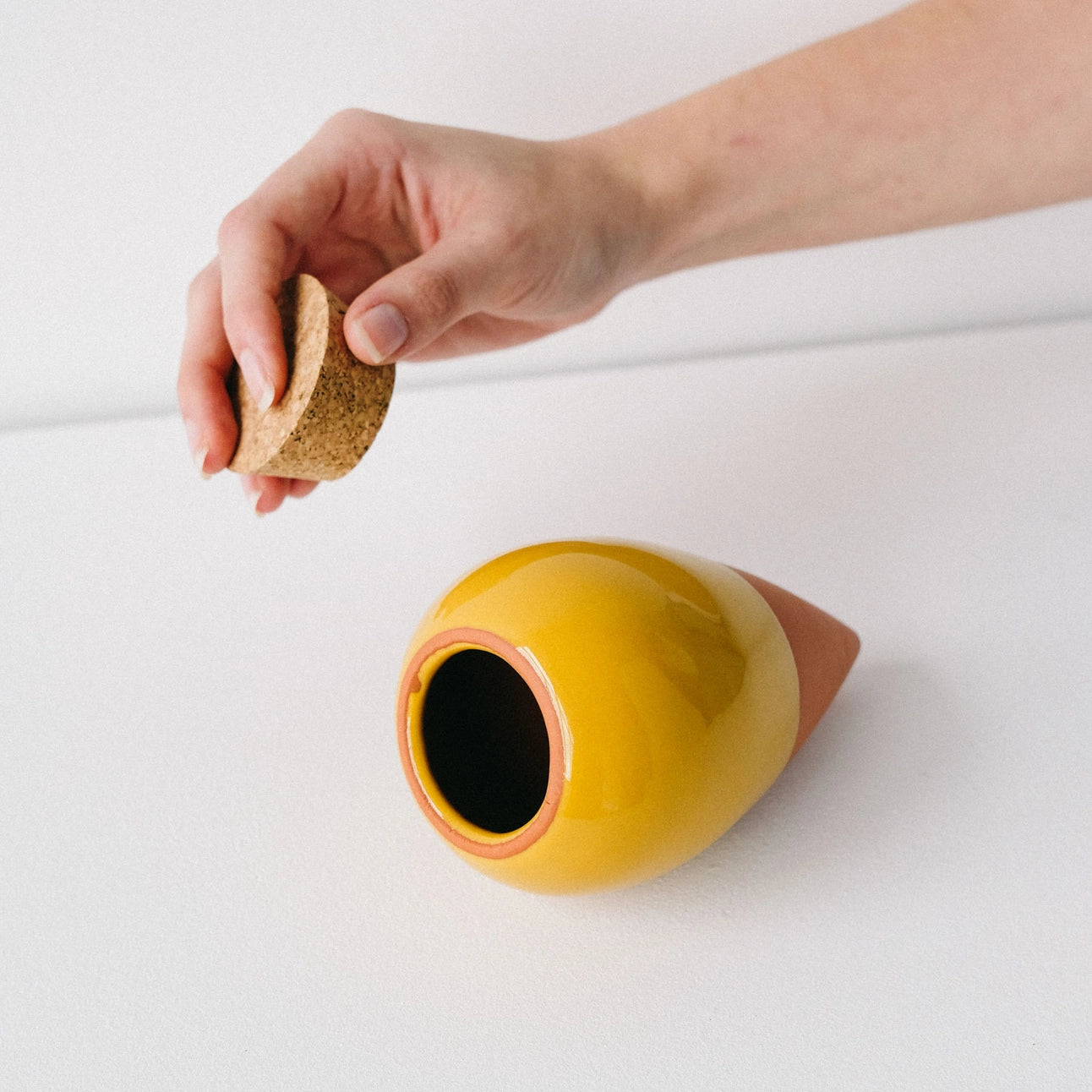 Hydrating Olla Self Watering System | 4 Colours Available