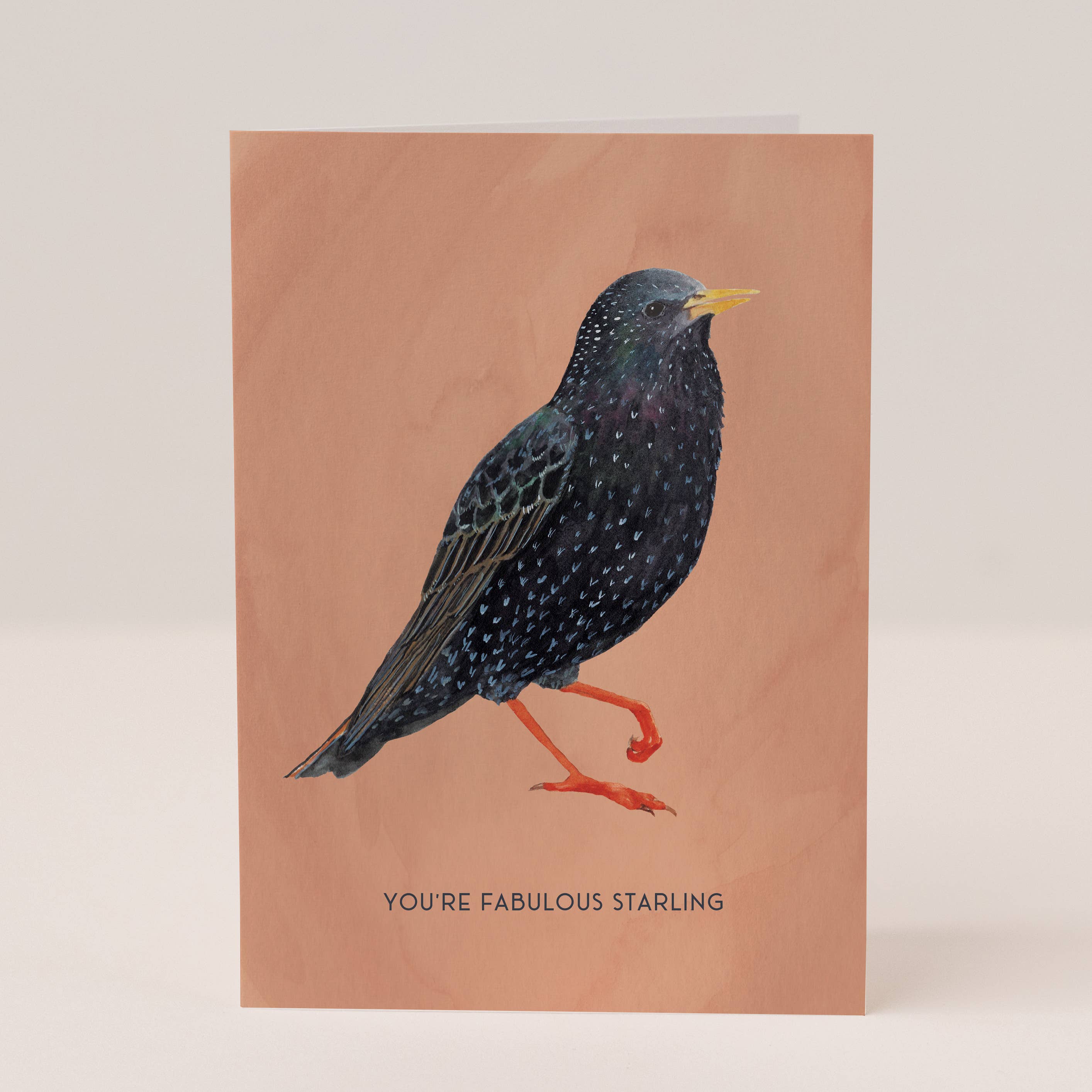 Fabulous Starling Card