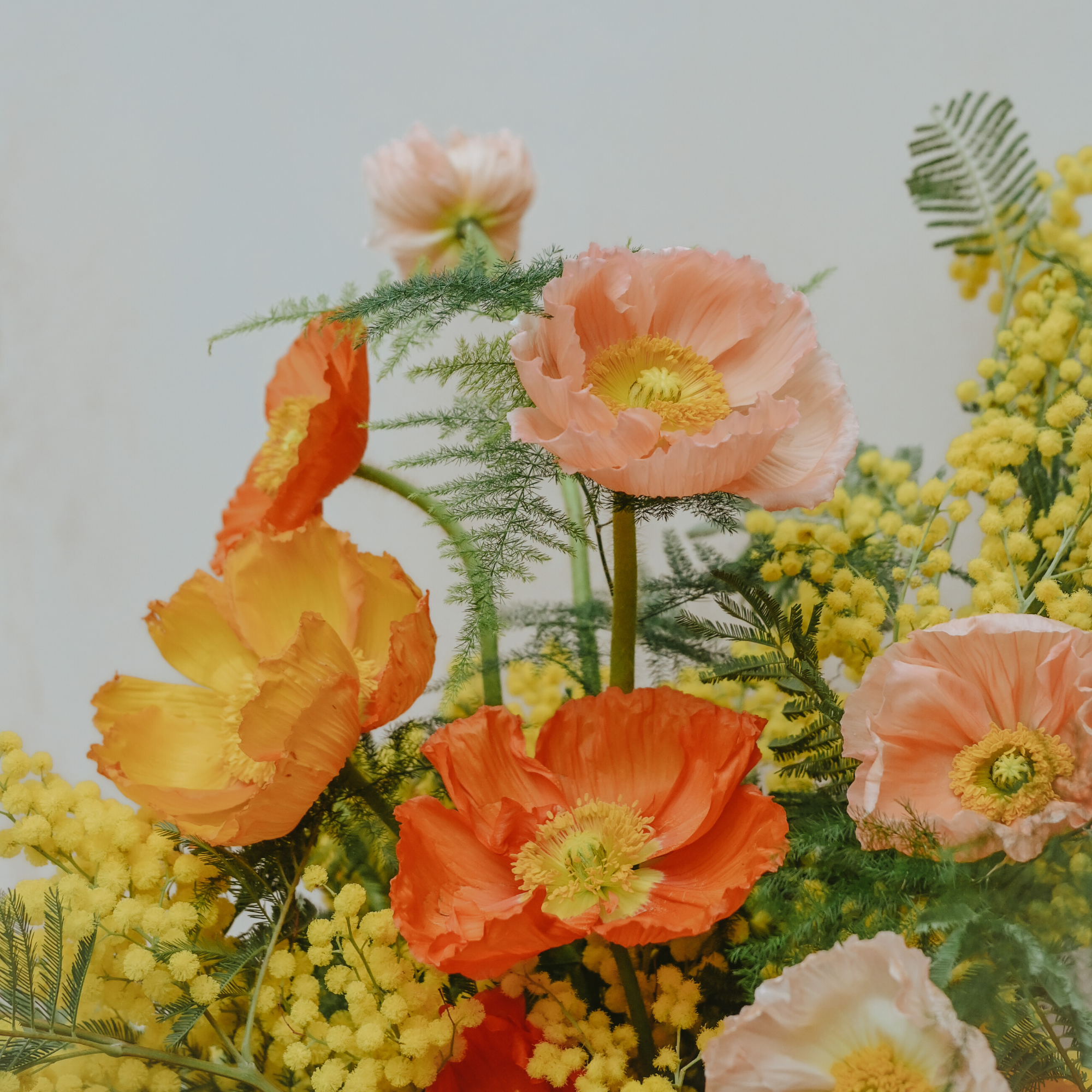 icelandic poppies and mimosa fresh flowers bouquet available for London & UK flower delivery