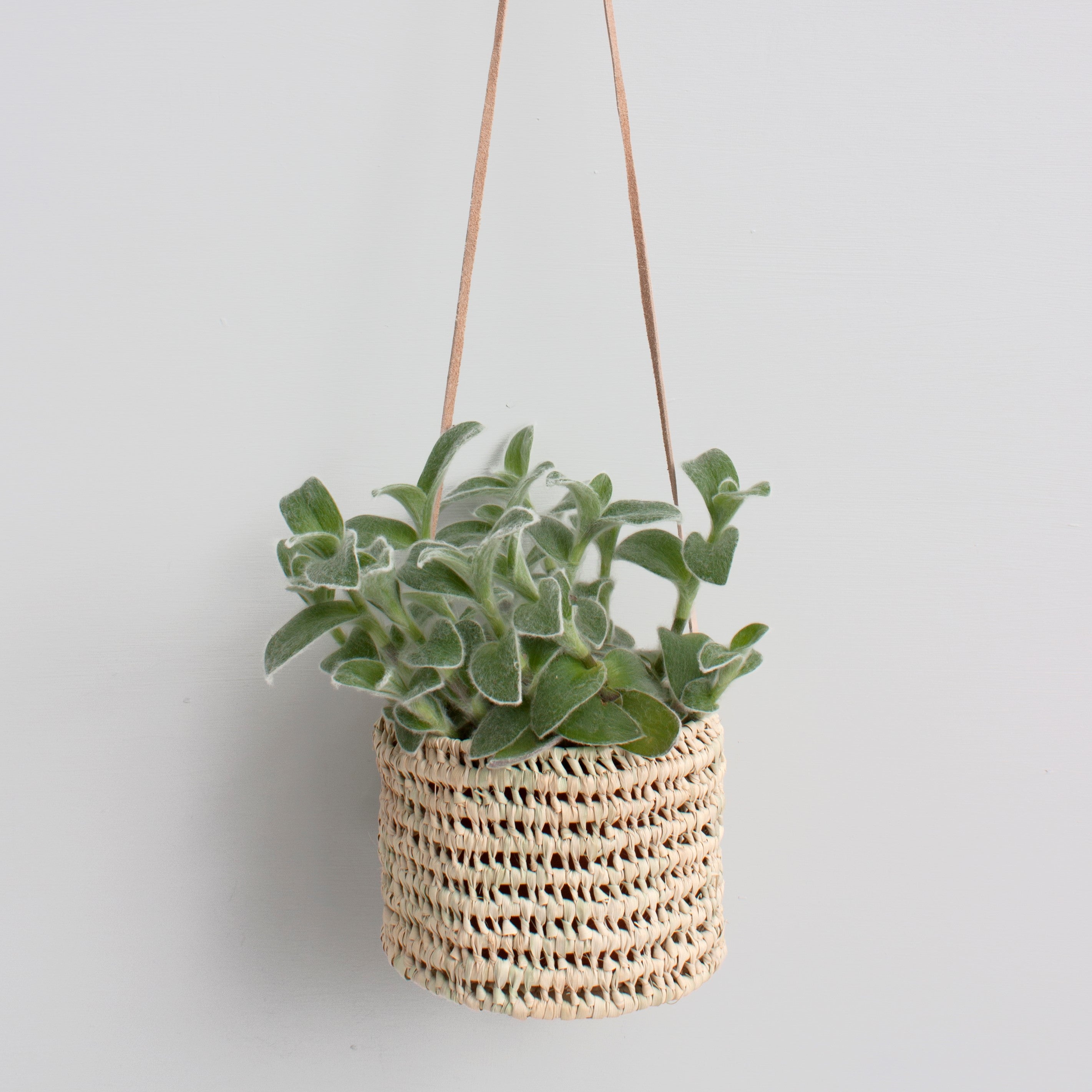 Open Weave Hanging Plant Basket