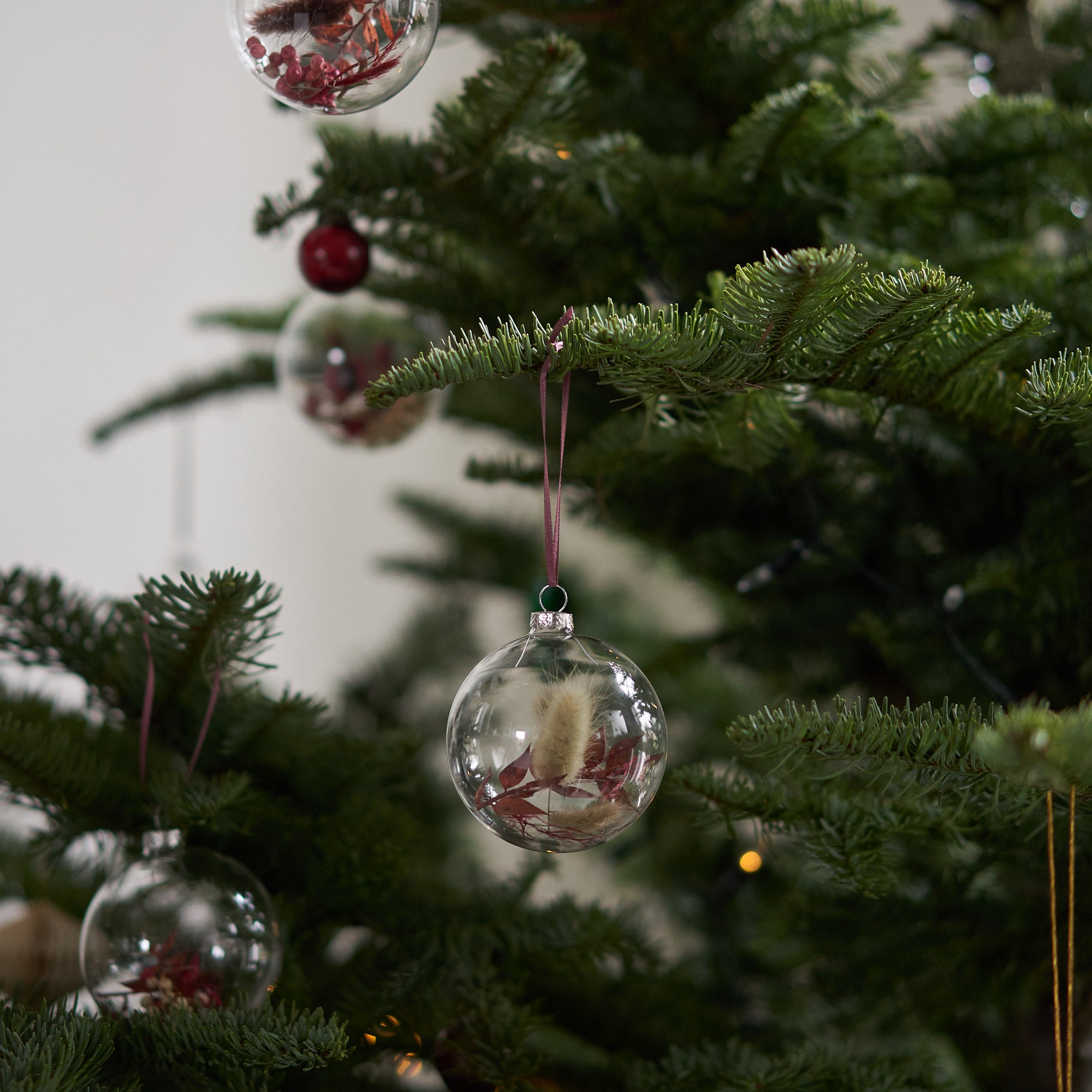 Set of 5 Dried flower Baubles: Burgundy