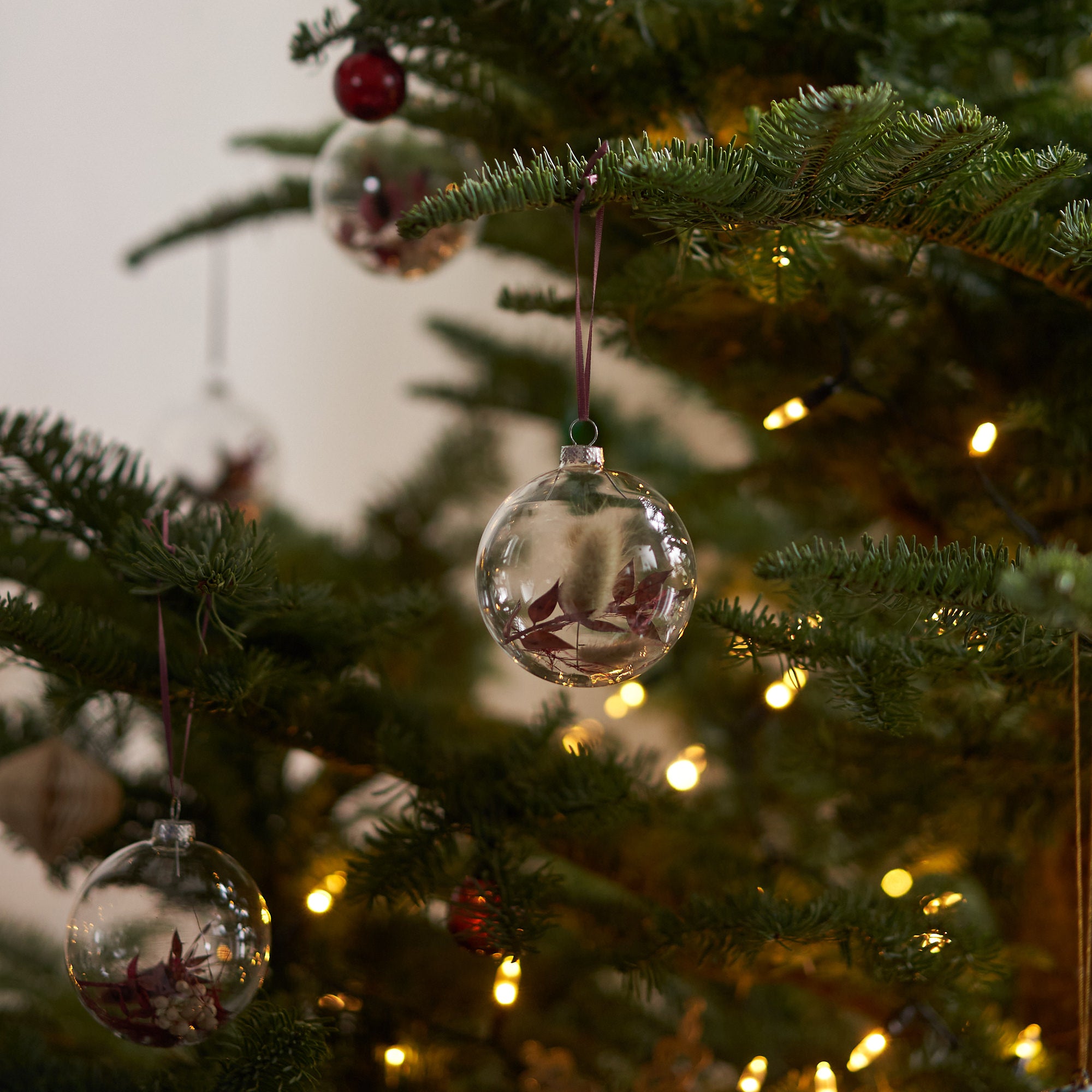 Set of 5 Dried flower Baubles: Burgundy