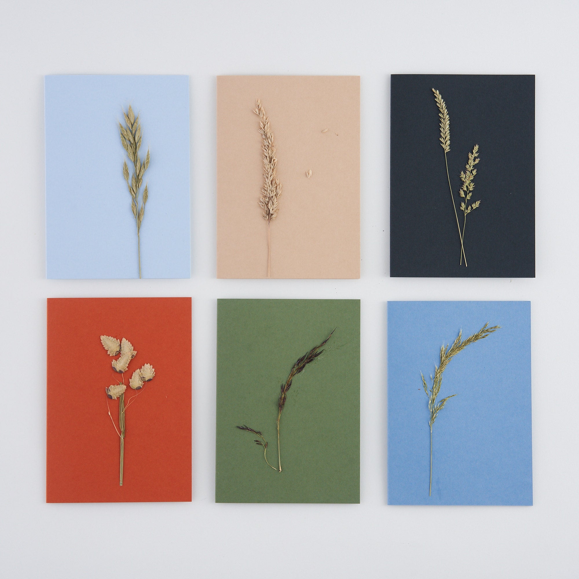 Set of 6 Pressed Grass Greetings Cards