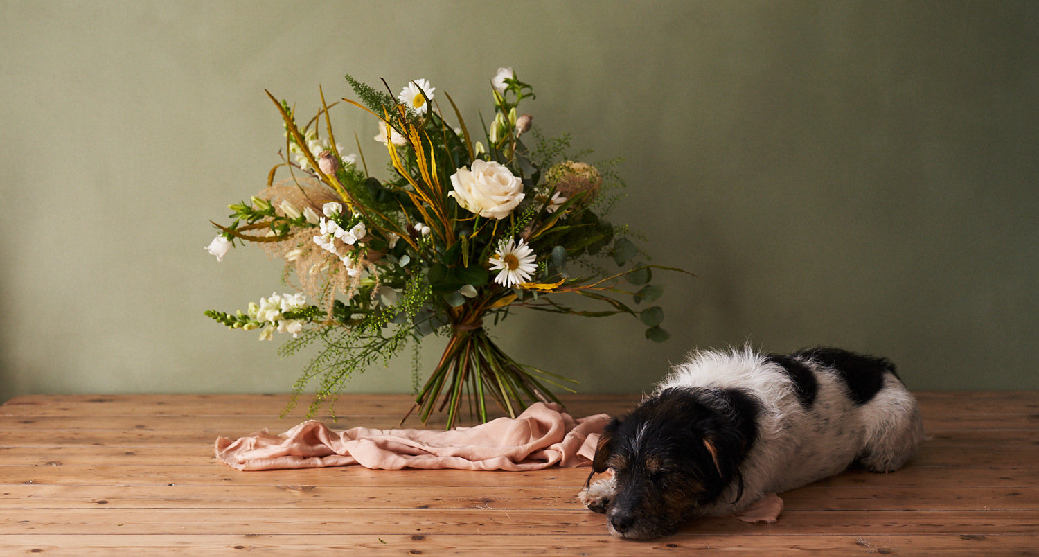 whimsical white bouquet with white roses, eucalyptus, grasses