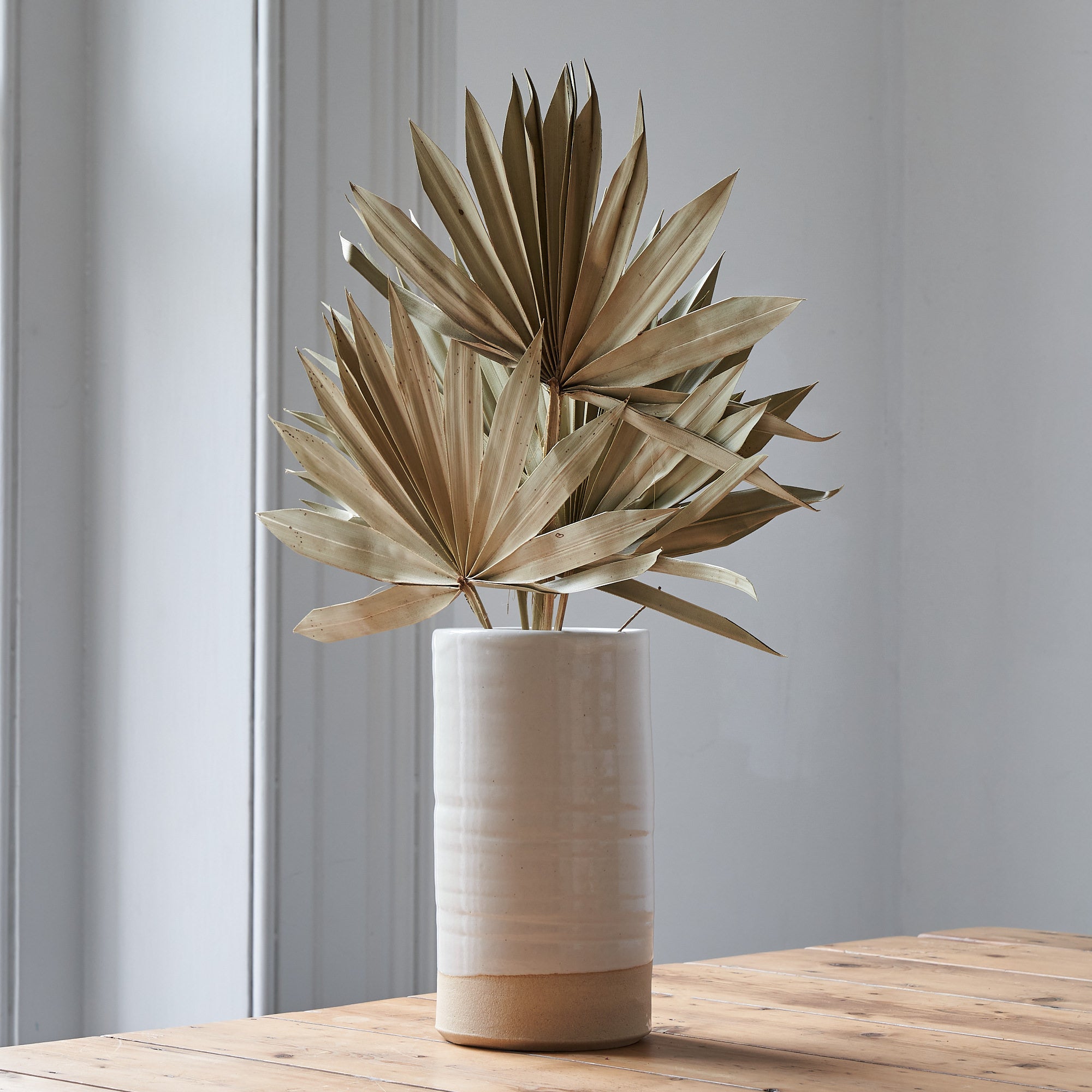 palm plant dry leaves Palm Leaves Dried Bunch