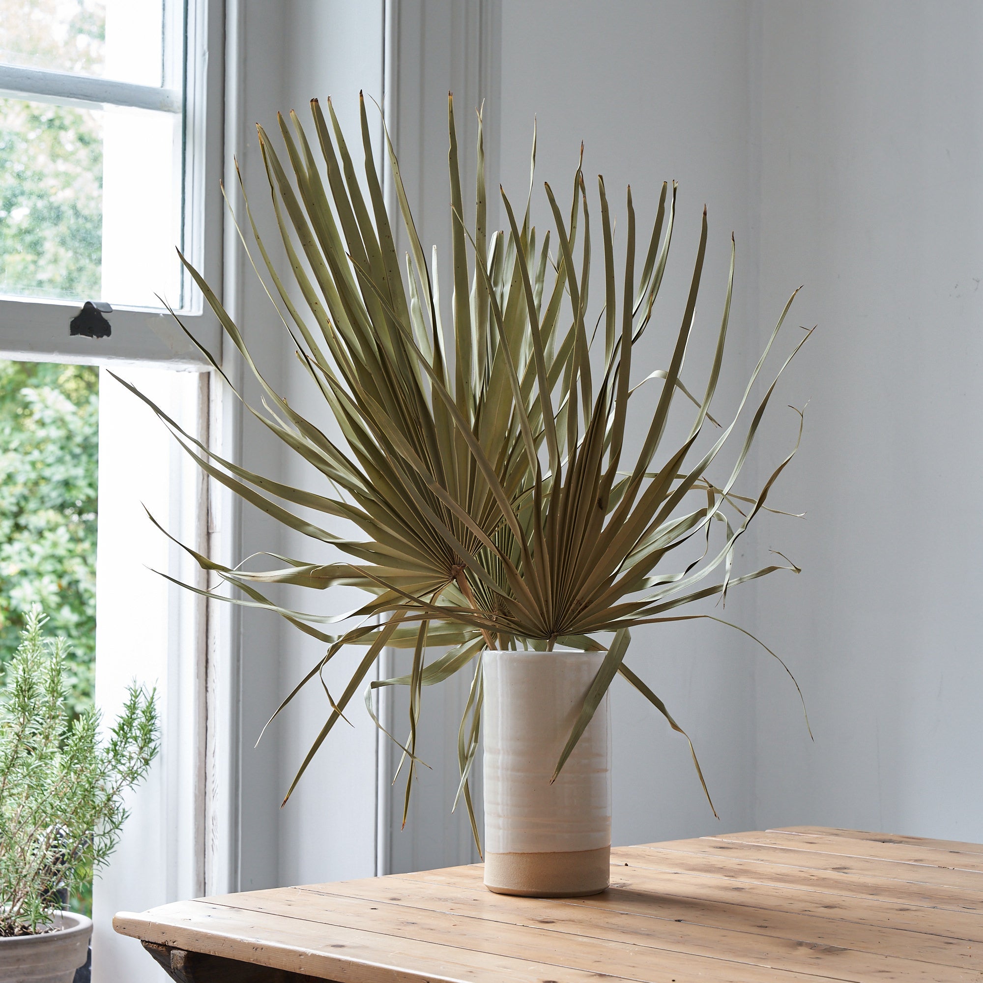 Wild Palm Leaves dried bunch