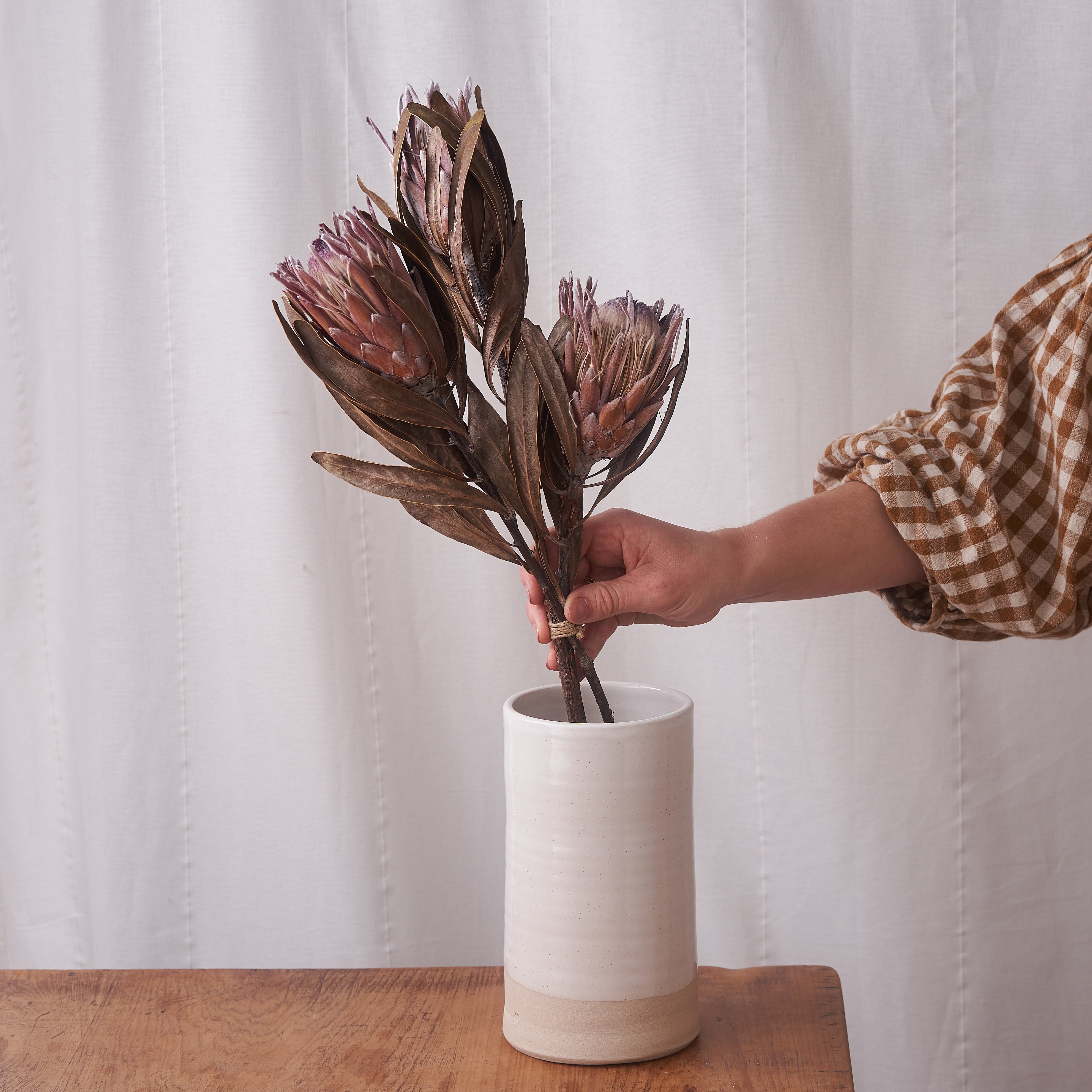 Protea Dried bunch